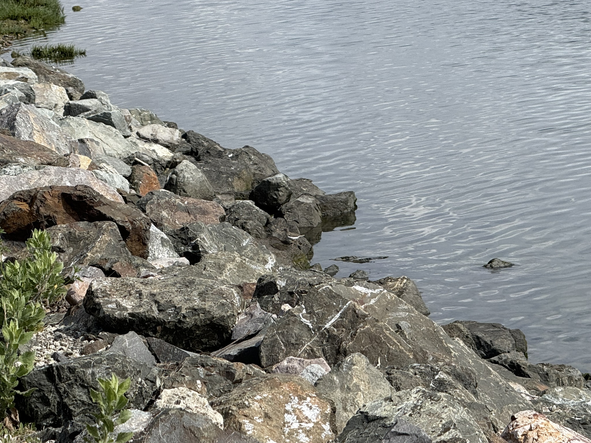 Martin Luther King Jr. Regional Shoreline