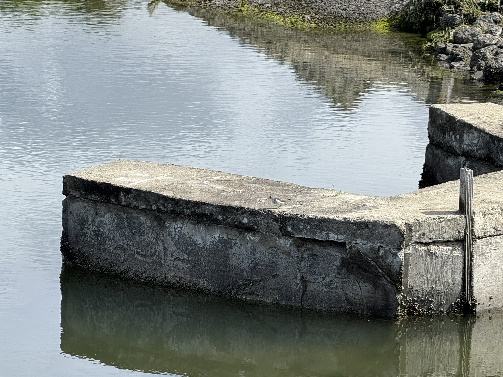 Martin Luther King Jr. Regional Shoreline