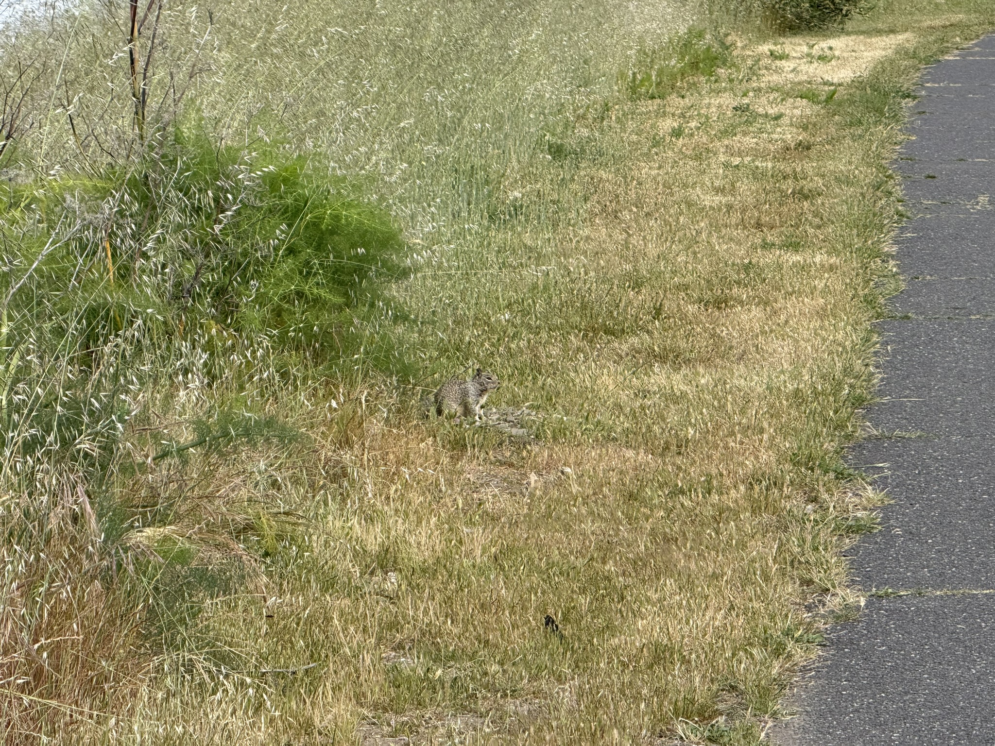 Martin Luther King Jr. Regional Shoreline