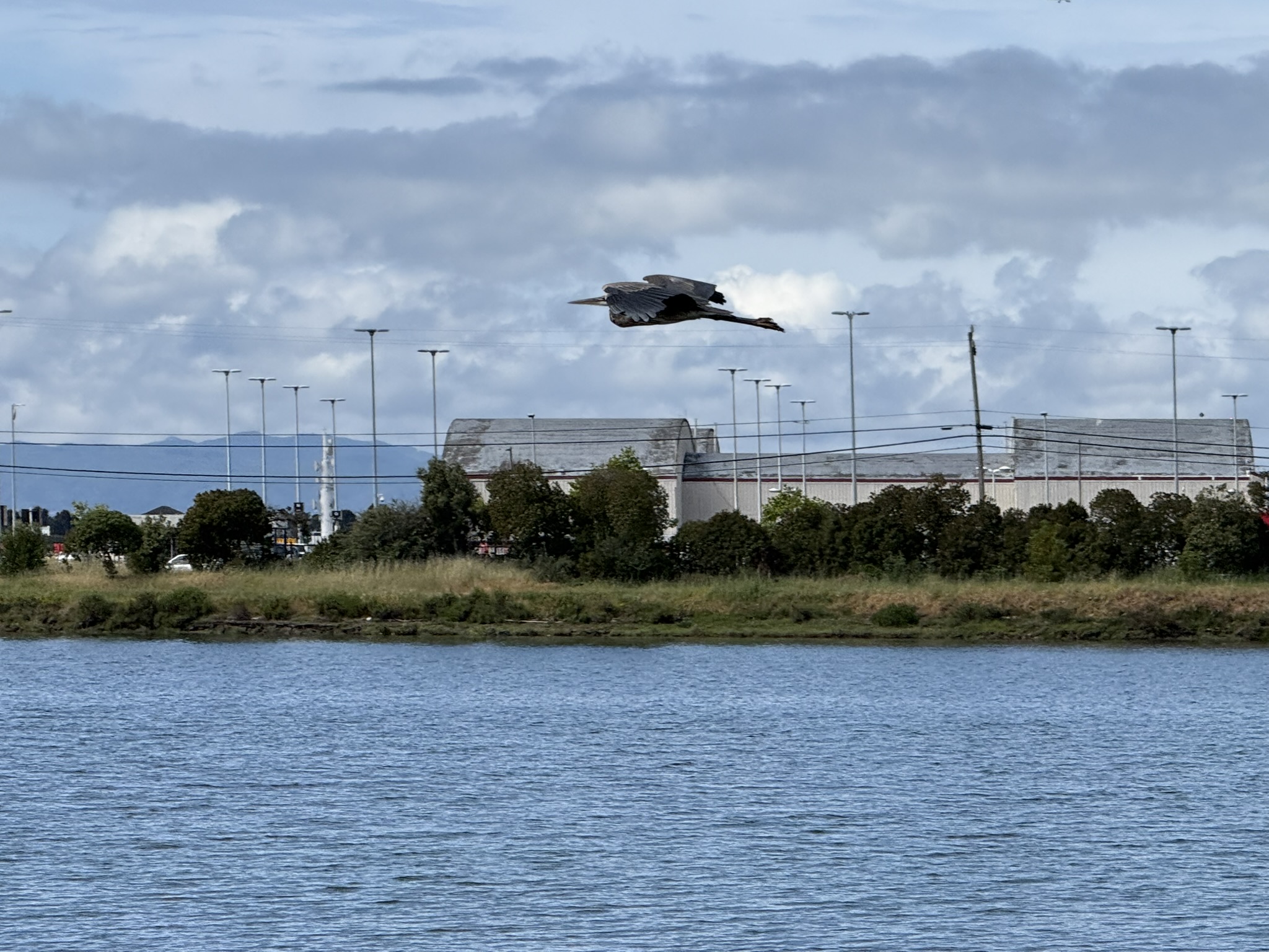 Martin Luther King Jr. Regional Shoreline