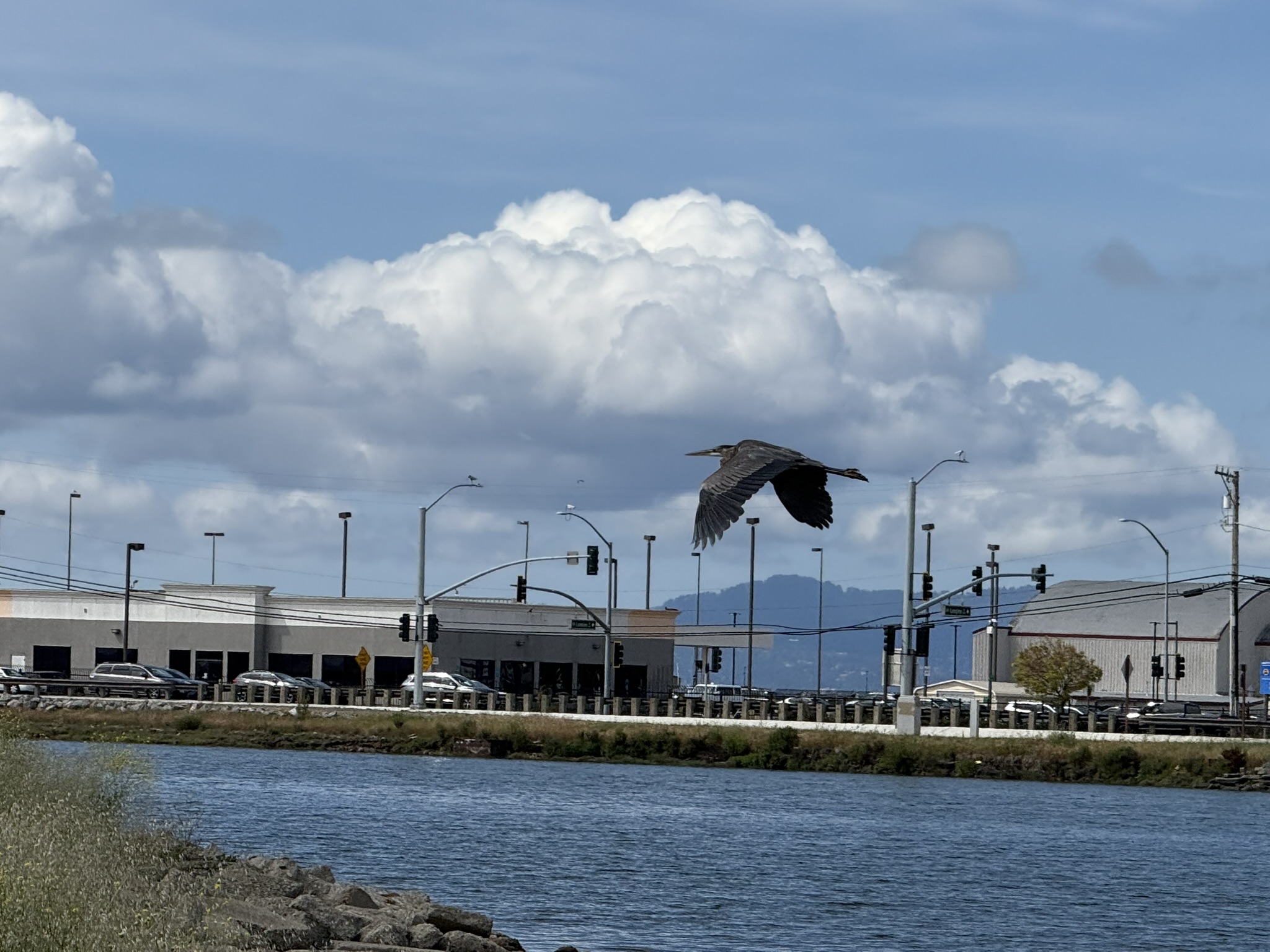 Martin Luther King Jr. Regional Shoreline
