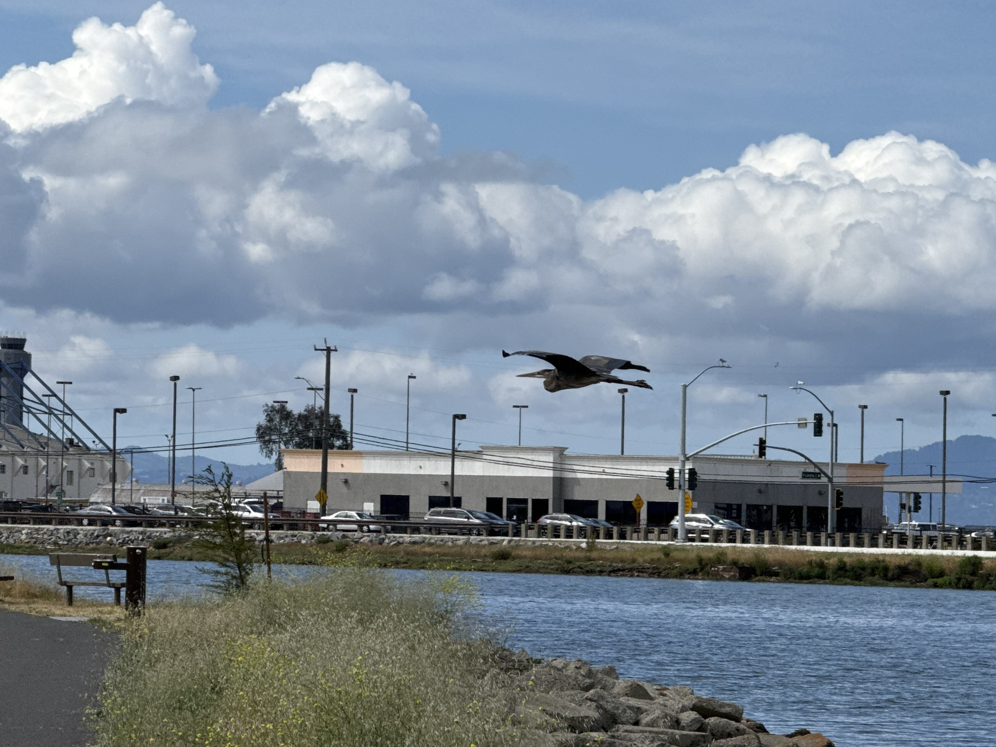 Martin Luther King Jr. Regional Shoreline