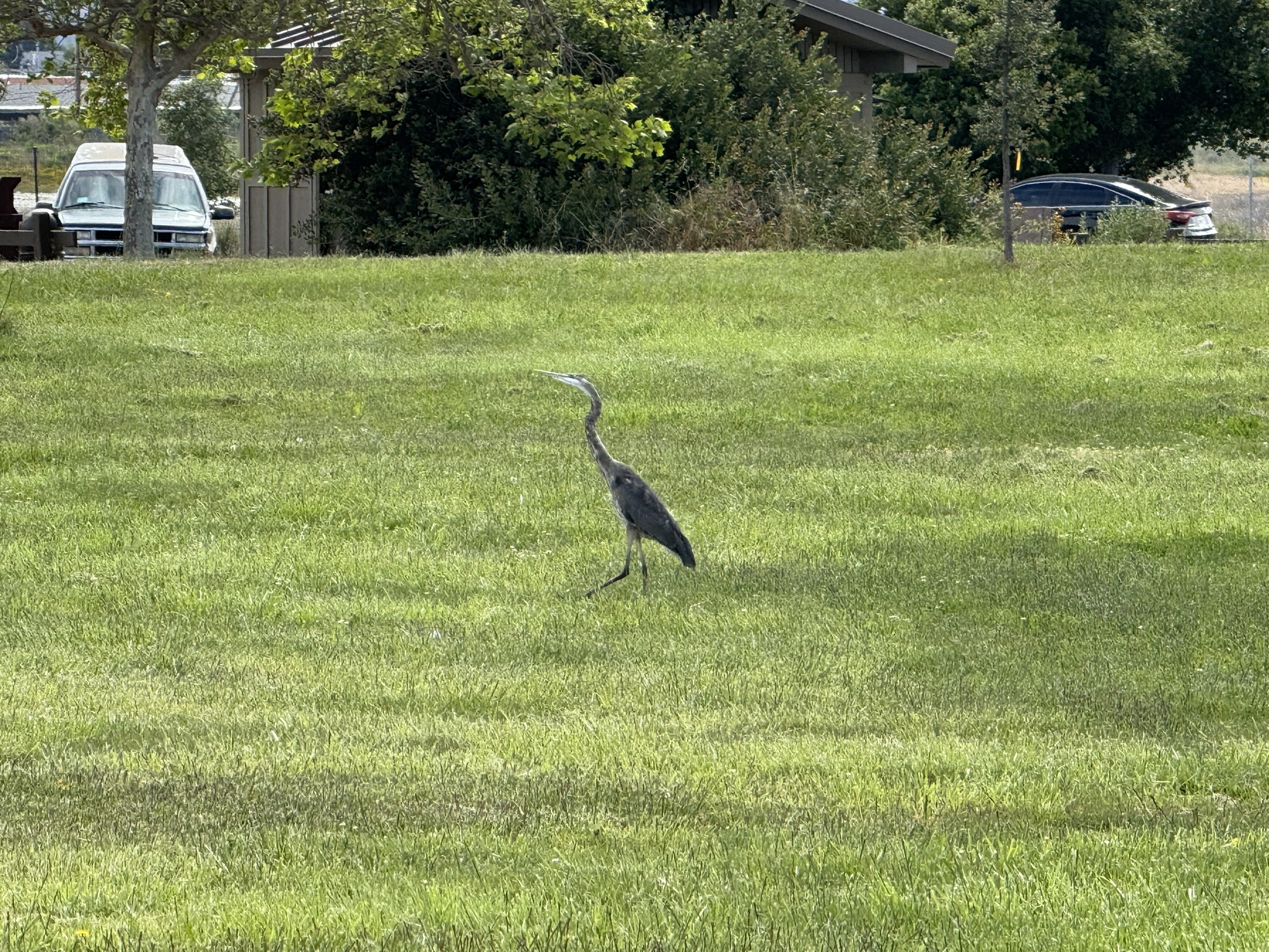 Martin Luther King Jr. Regional Shoreline