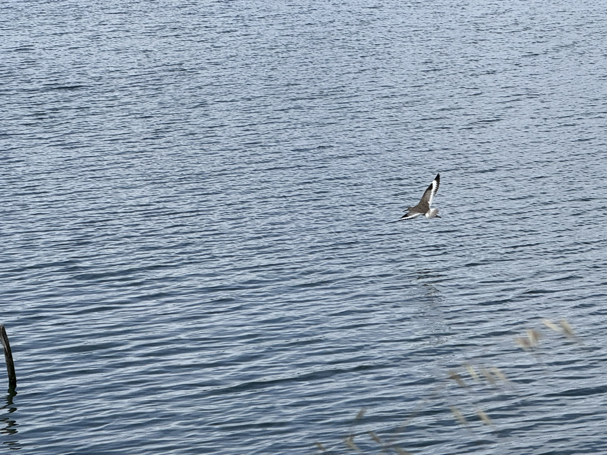 Martin Luther King Jr. Regional Shoreline