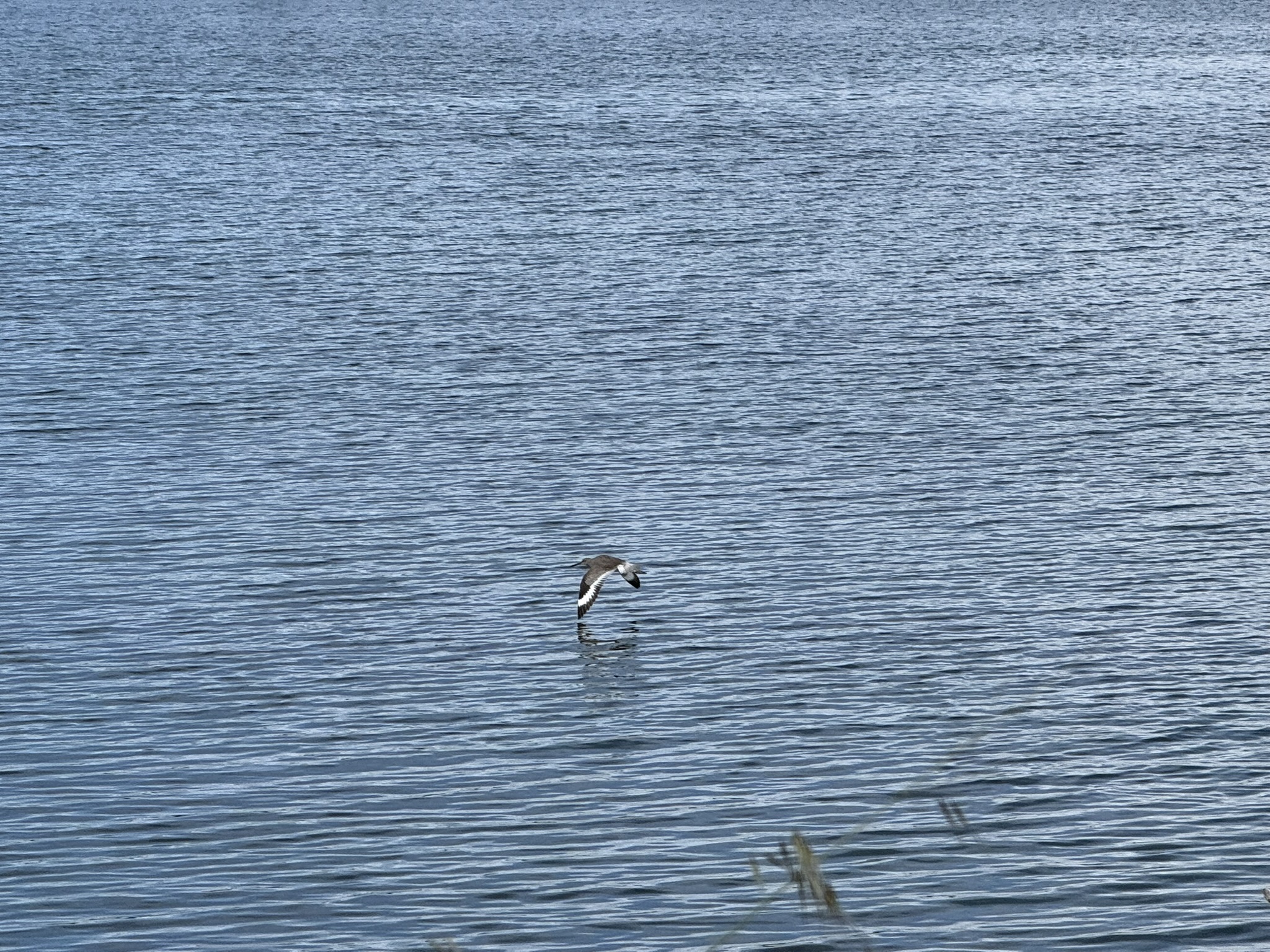 Martin Luther King Jr. Regional Shoreline