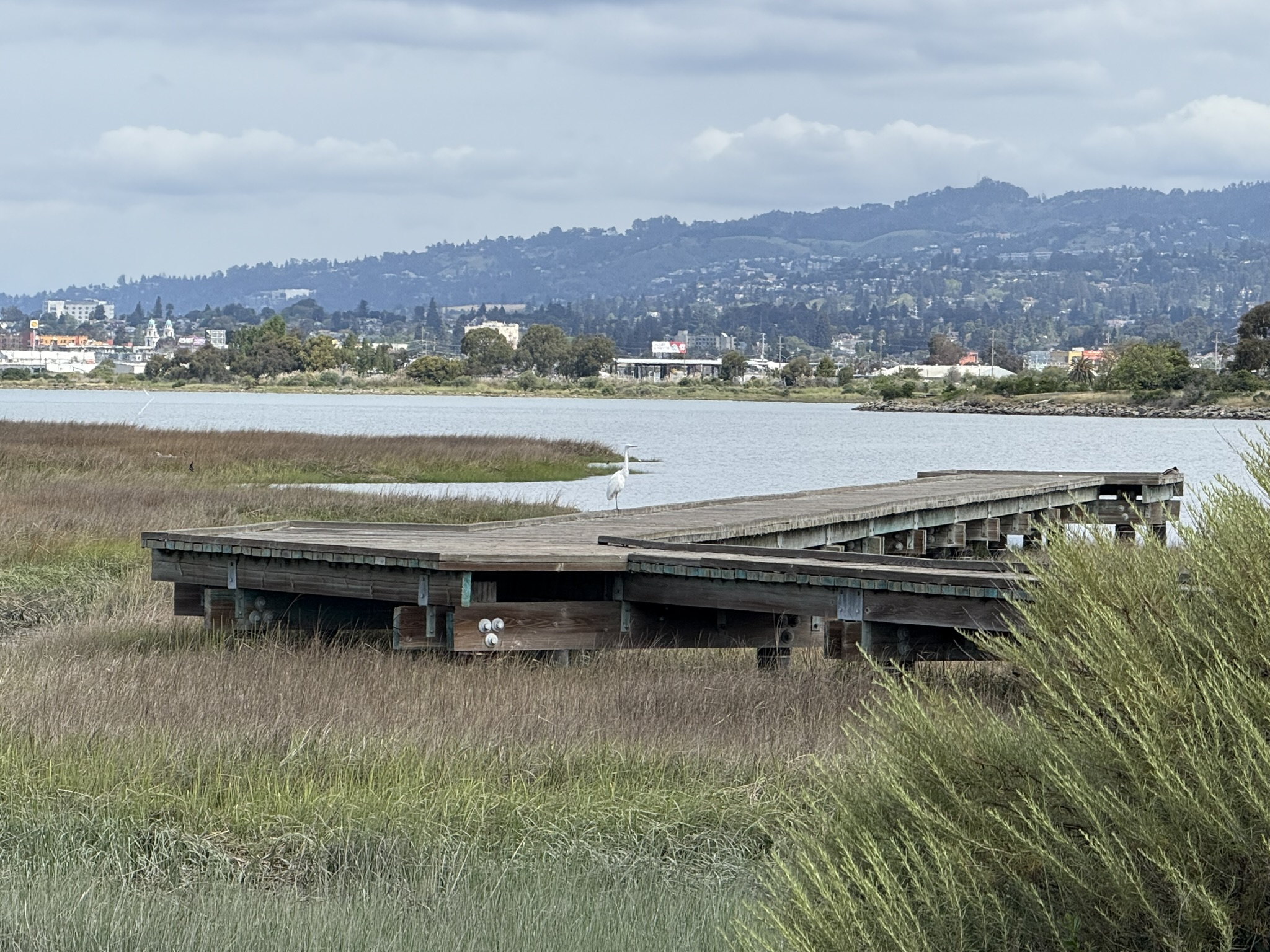 Martin Luther King Jr. Regional Shoreline