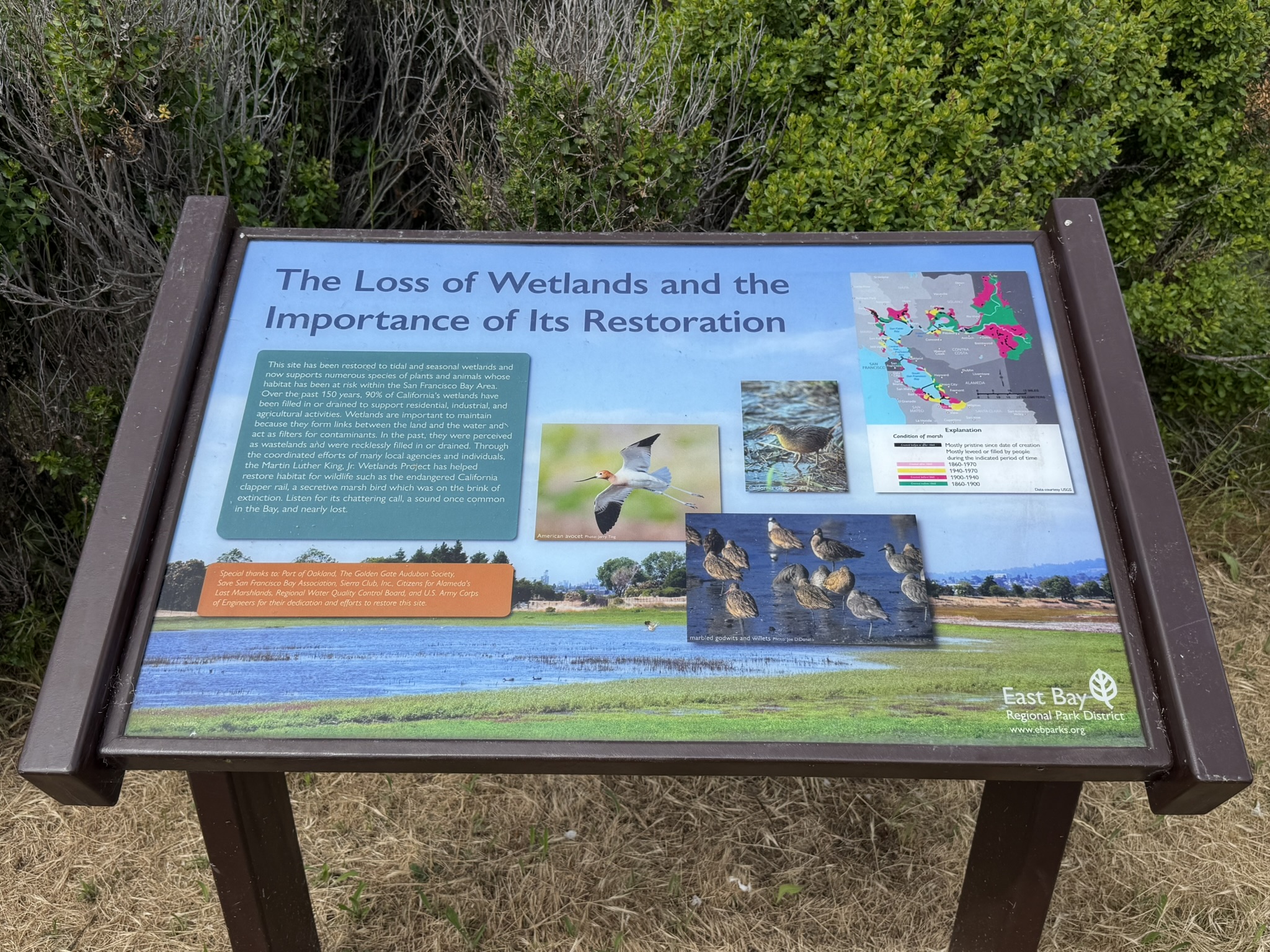 Martin Luther King Jr. Regional Shoreline