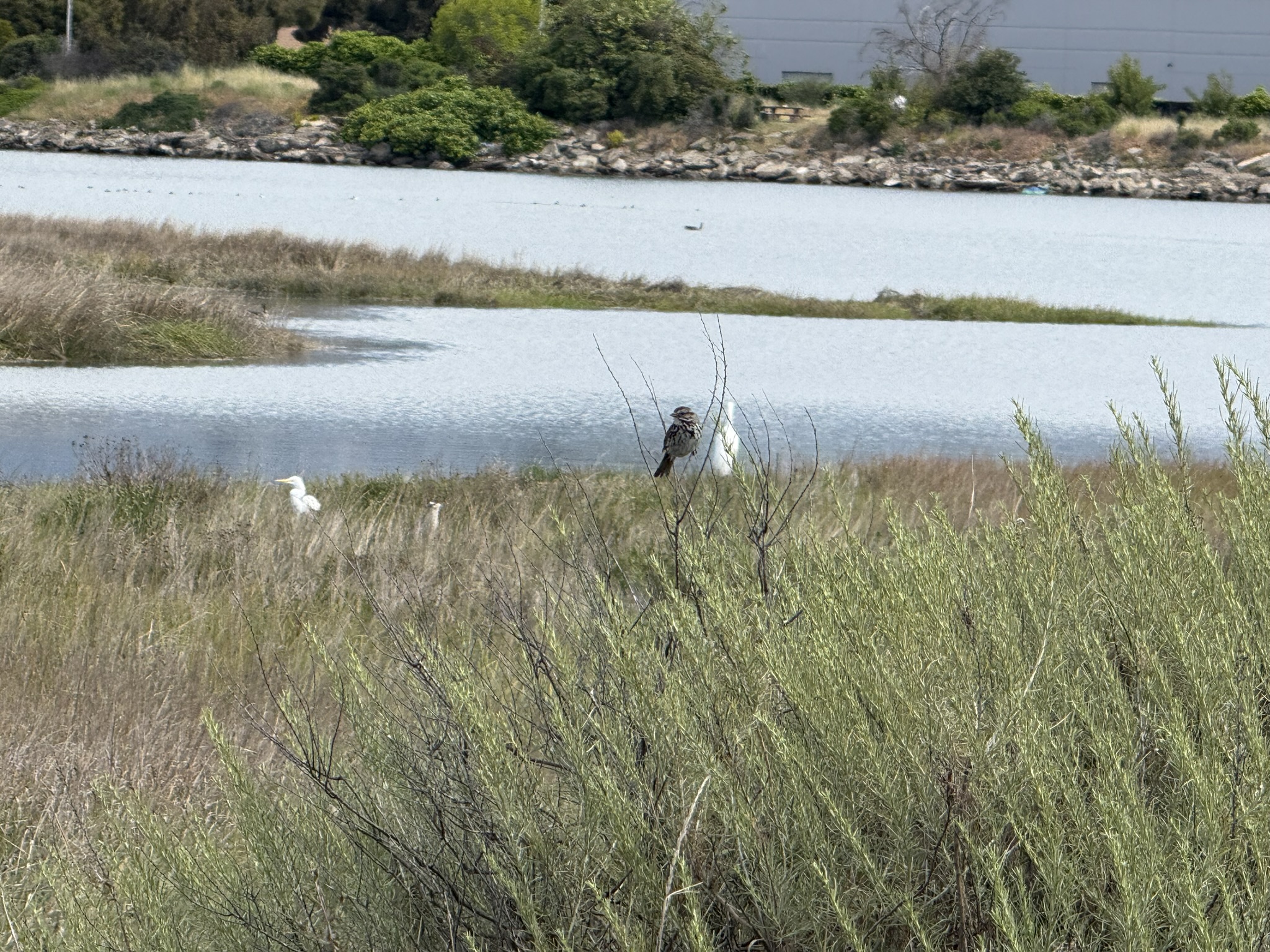 Martin Luther King Jr. Regional Shoreline