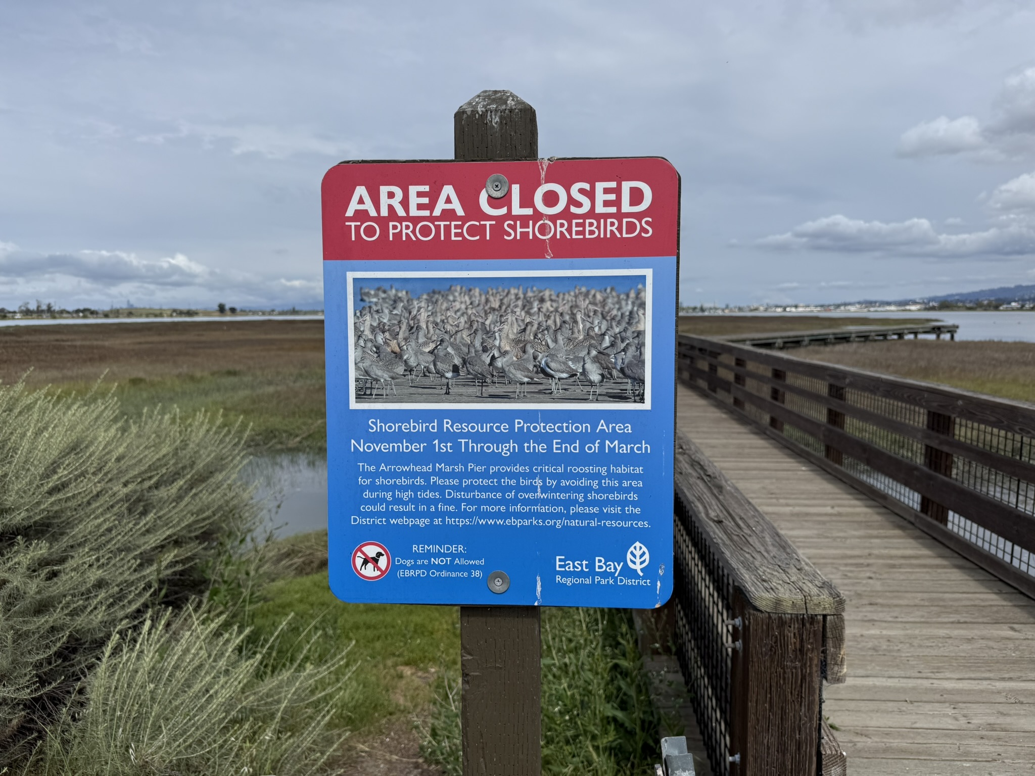 Martin Luther King Jr. Regional Shoreline