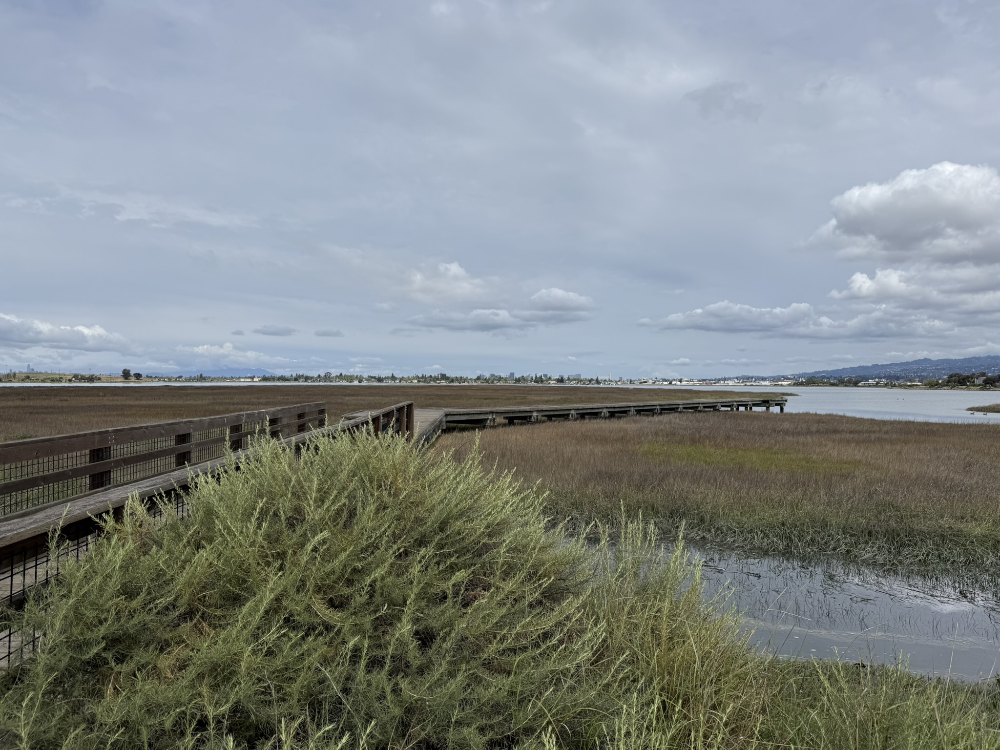 Martin Luther King Jr. Regional Shoreline