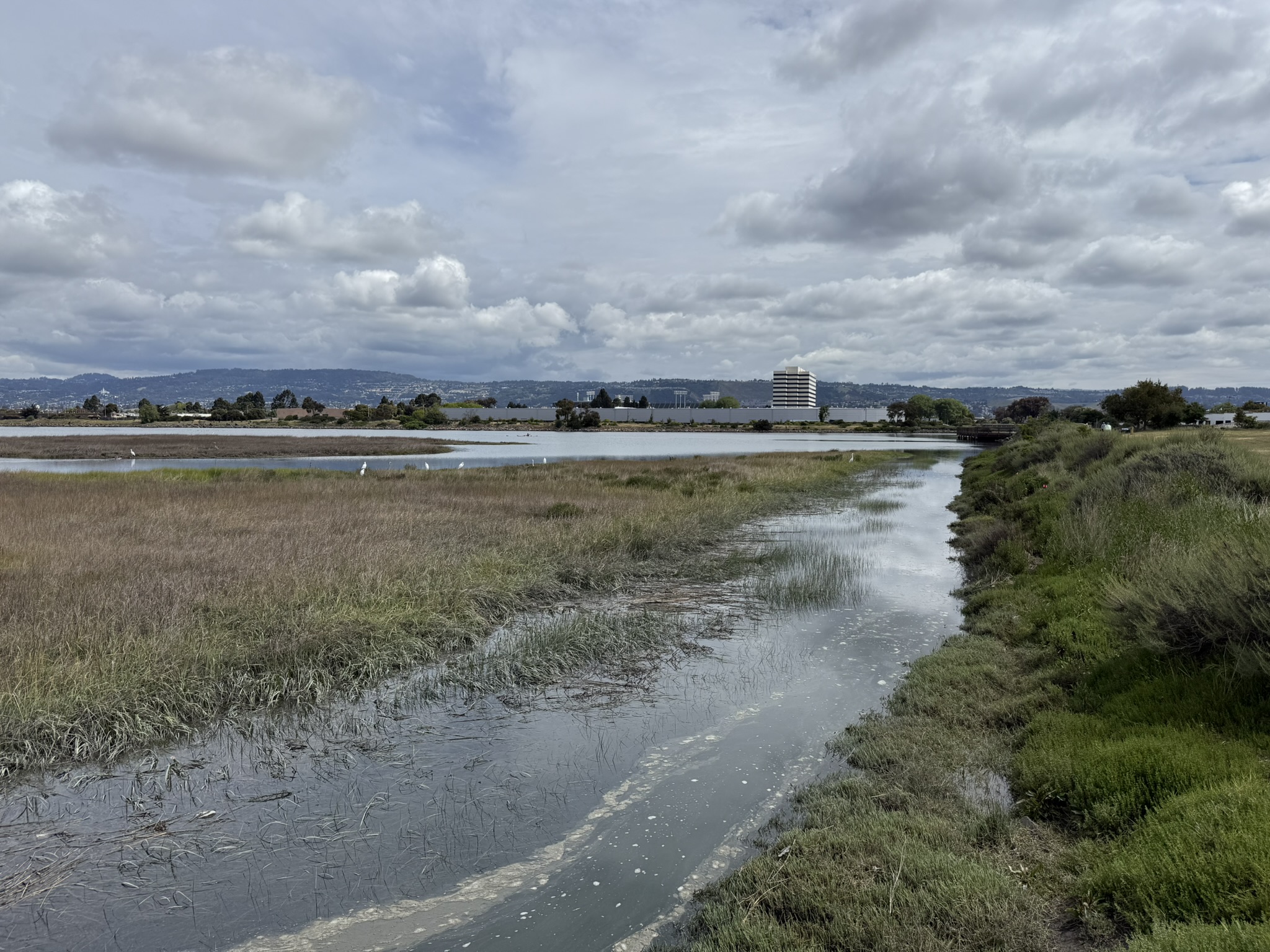 Martin Luther King Jr. Regional Shoreline
