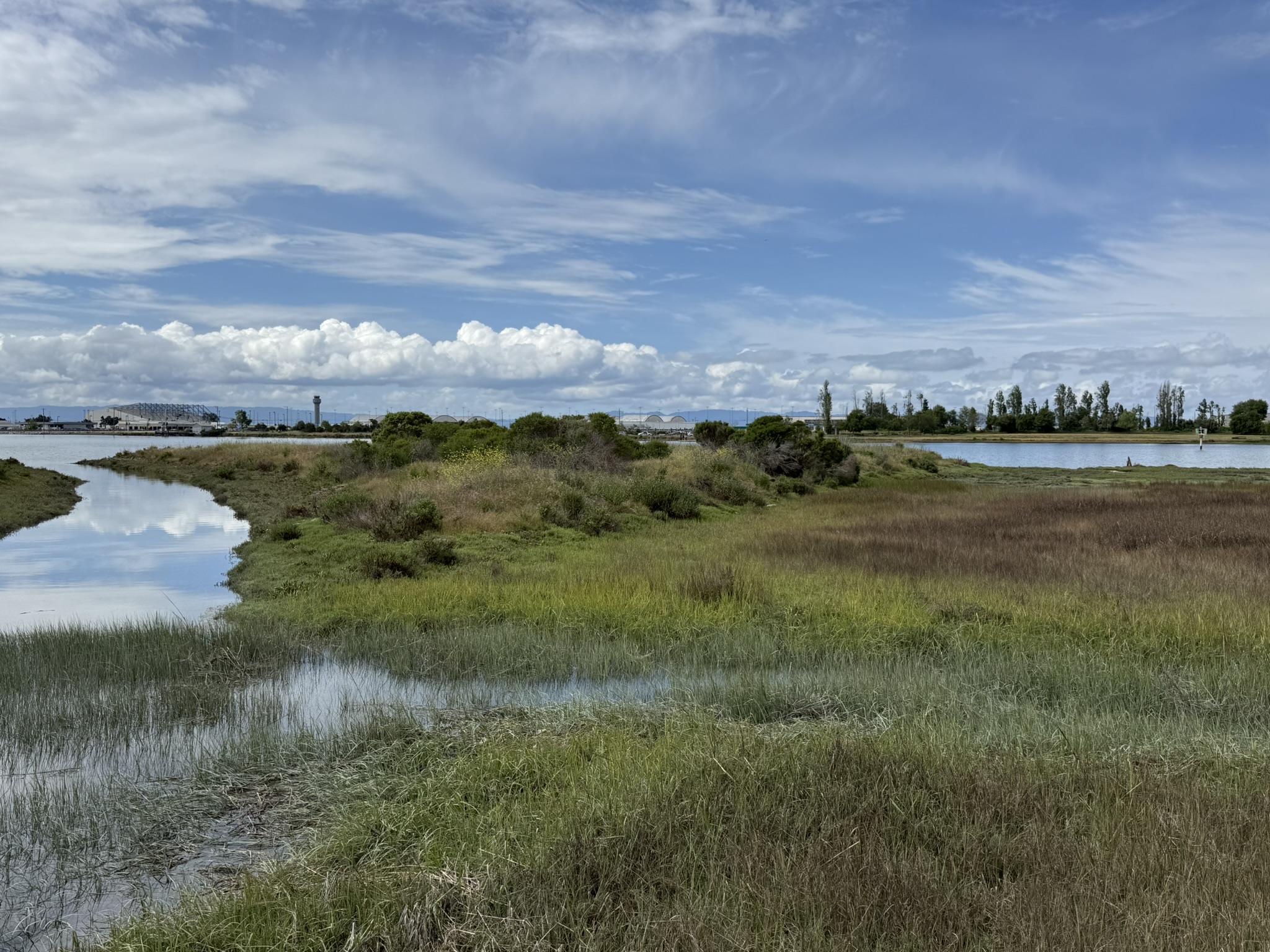 Martin Luther King Jr. Regional Shoreline