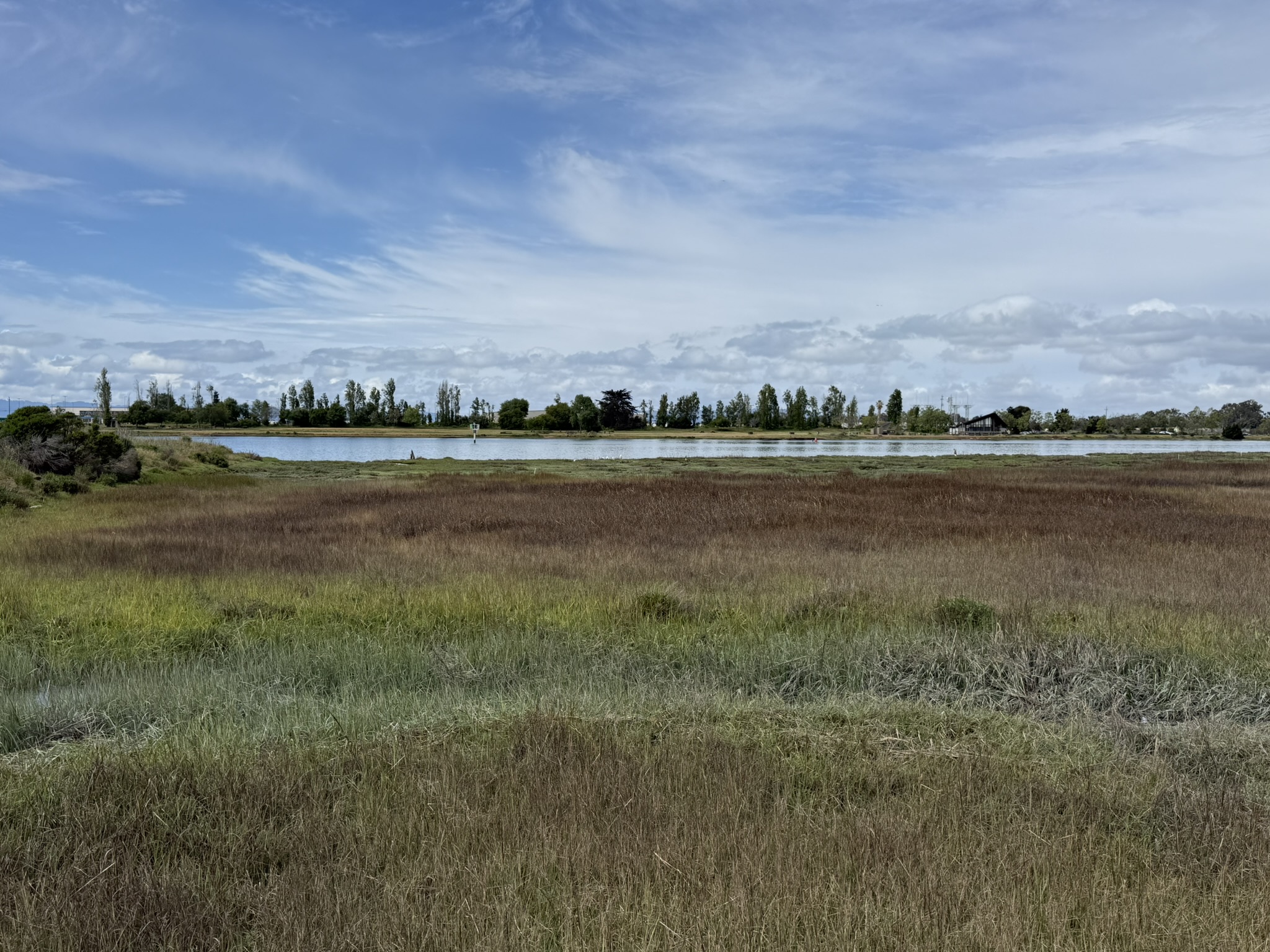 Martin Luther King Jr. Regional Shoreline