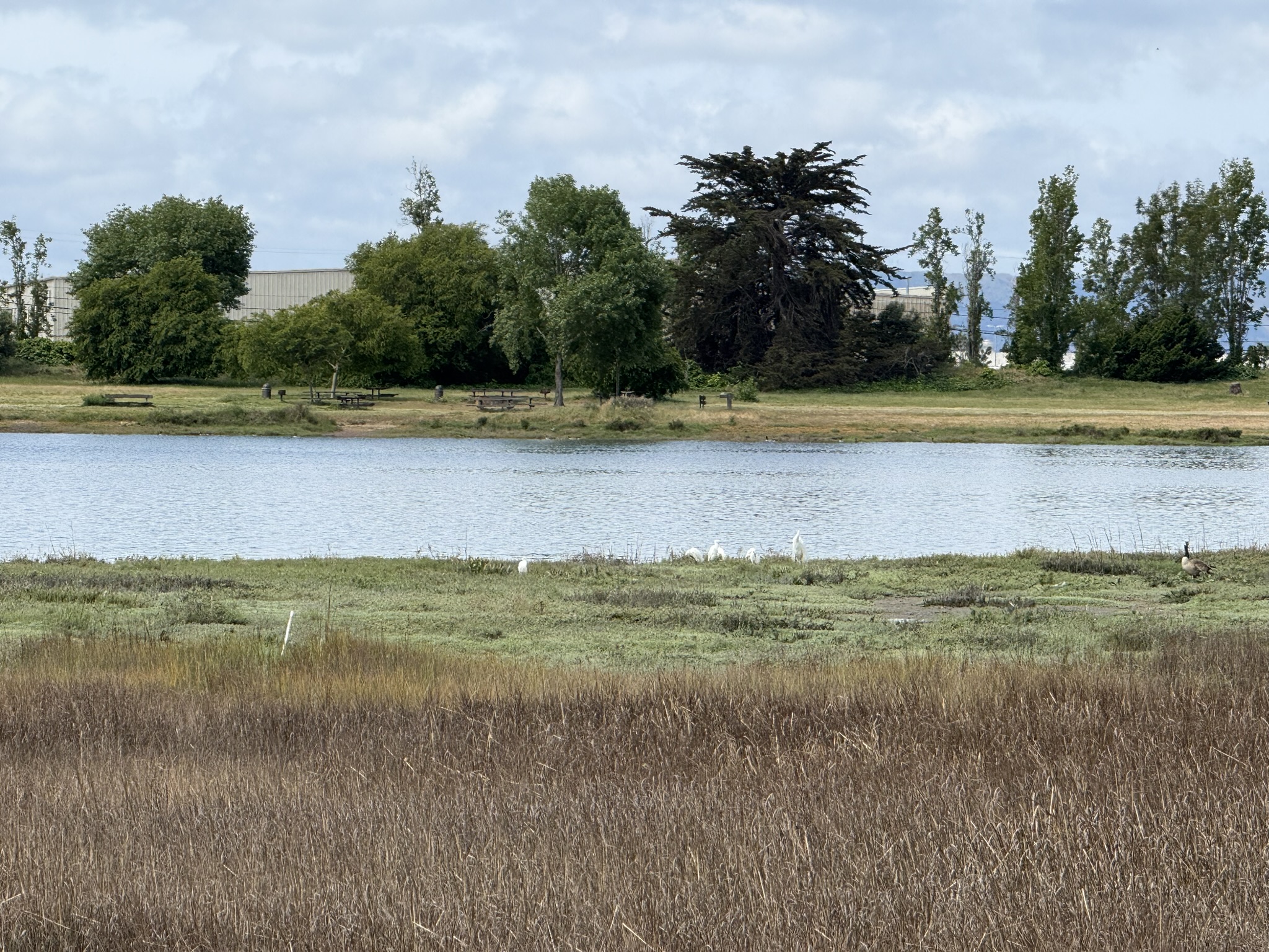 Martin Luther King Jr. Regional Shoreline