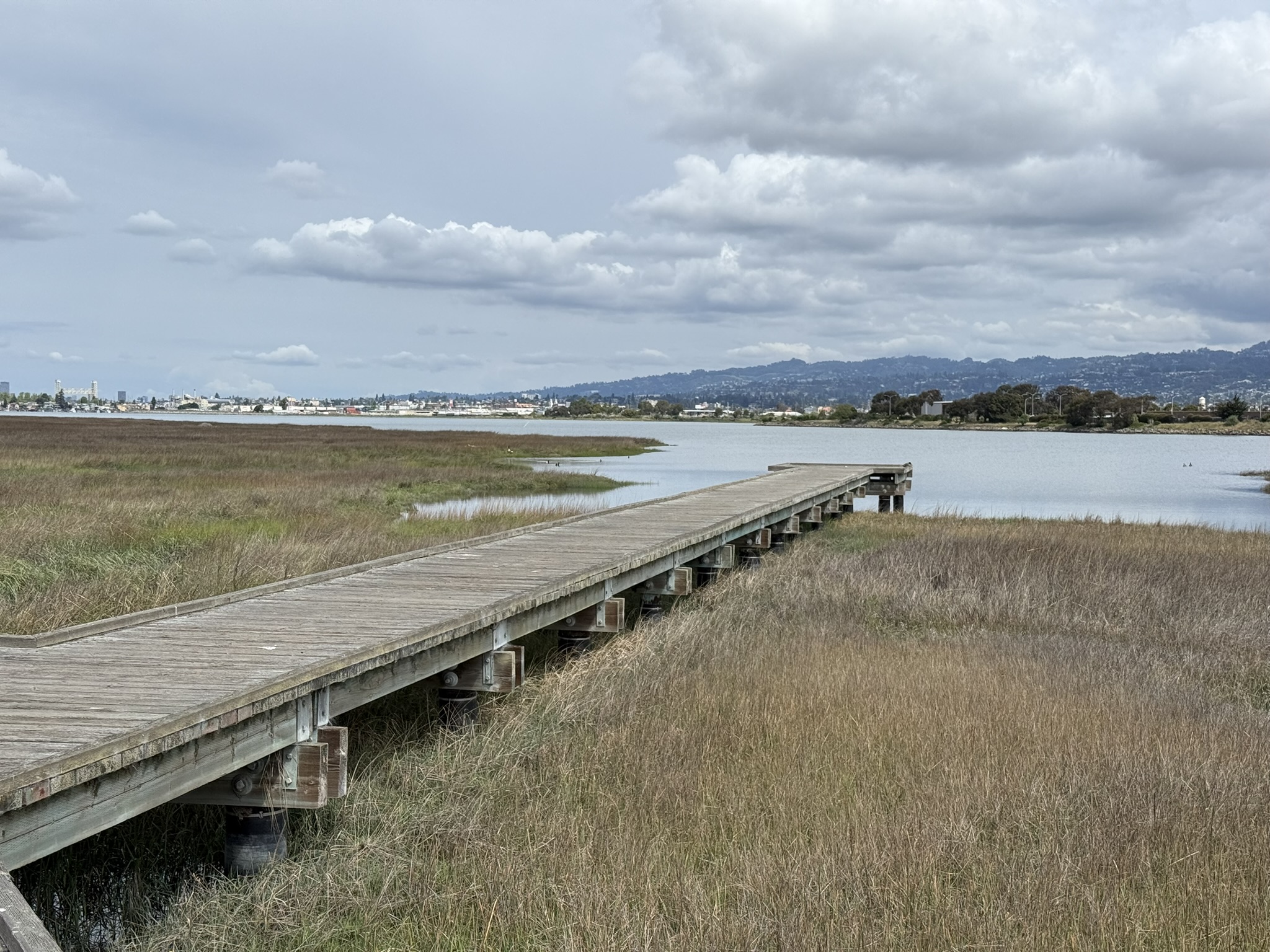 Martin Luther King Jr. Regional Shoreline