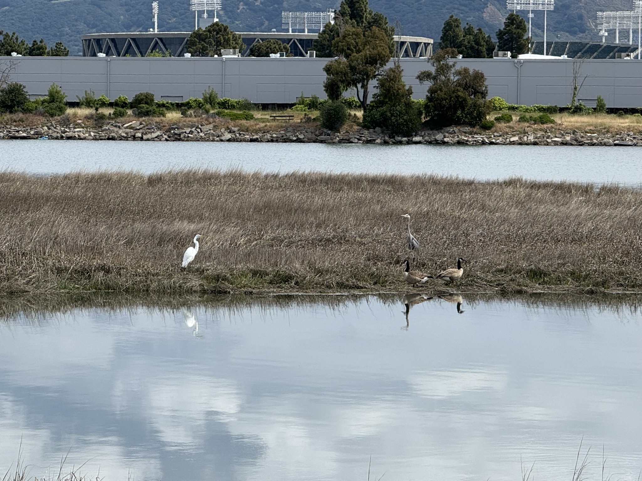 Martin Luther King Jr. Regional Shoreline