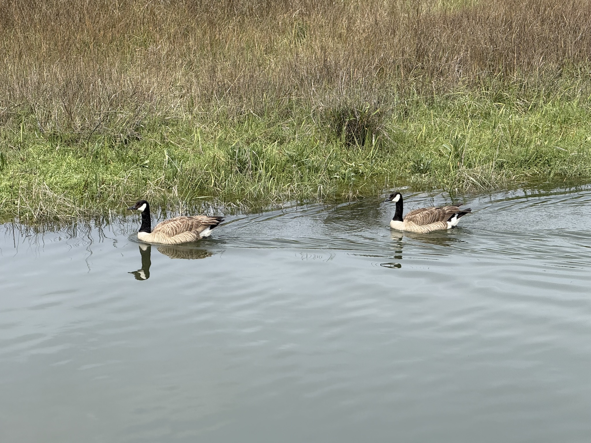 Martin Luther King Jr. Regional Shoreline