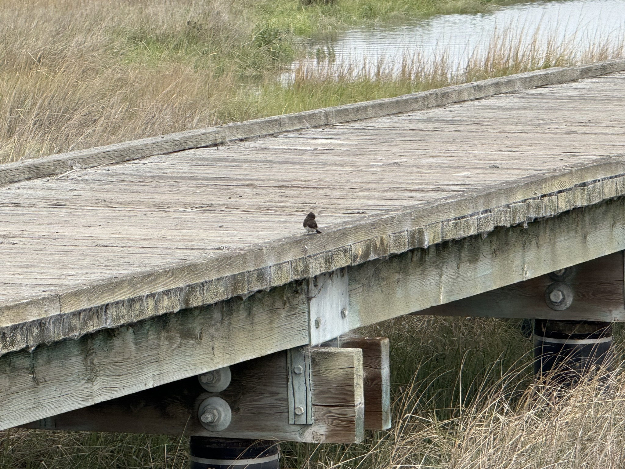 Martin Luther King Jr. Regional Shoreline