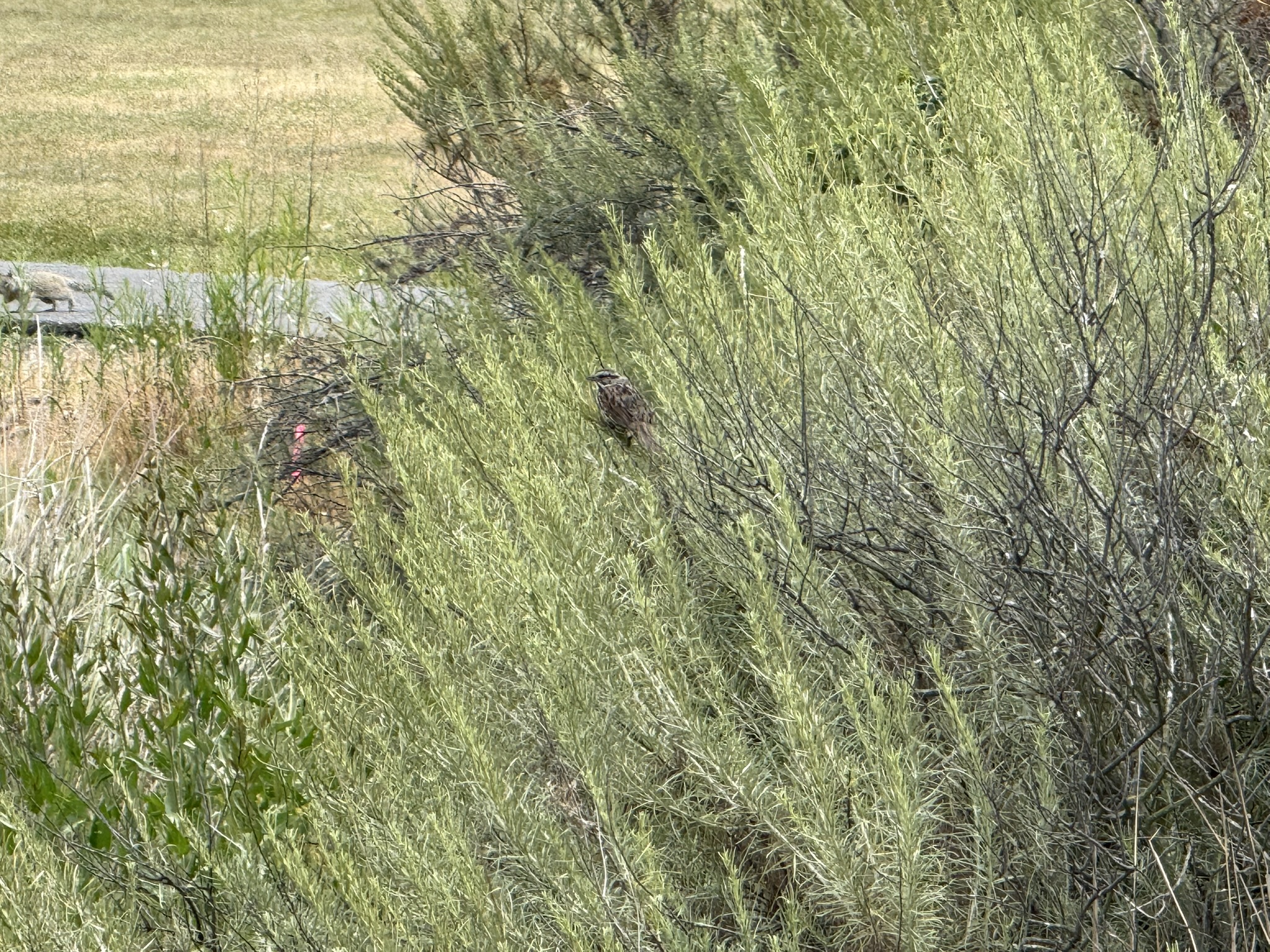 Martin Luther King Jr. Regional Shoreline