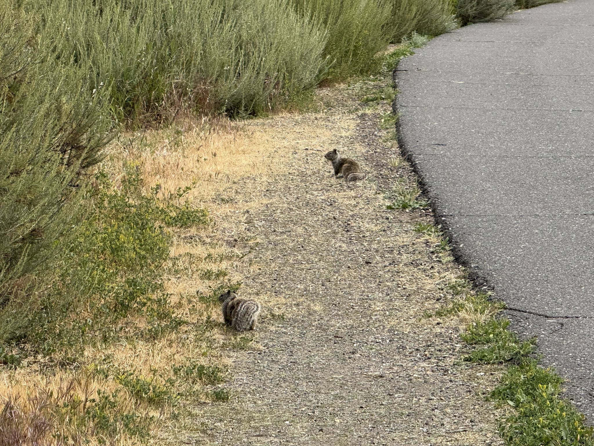 Martin Luther King Jr. Regional Shoreline