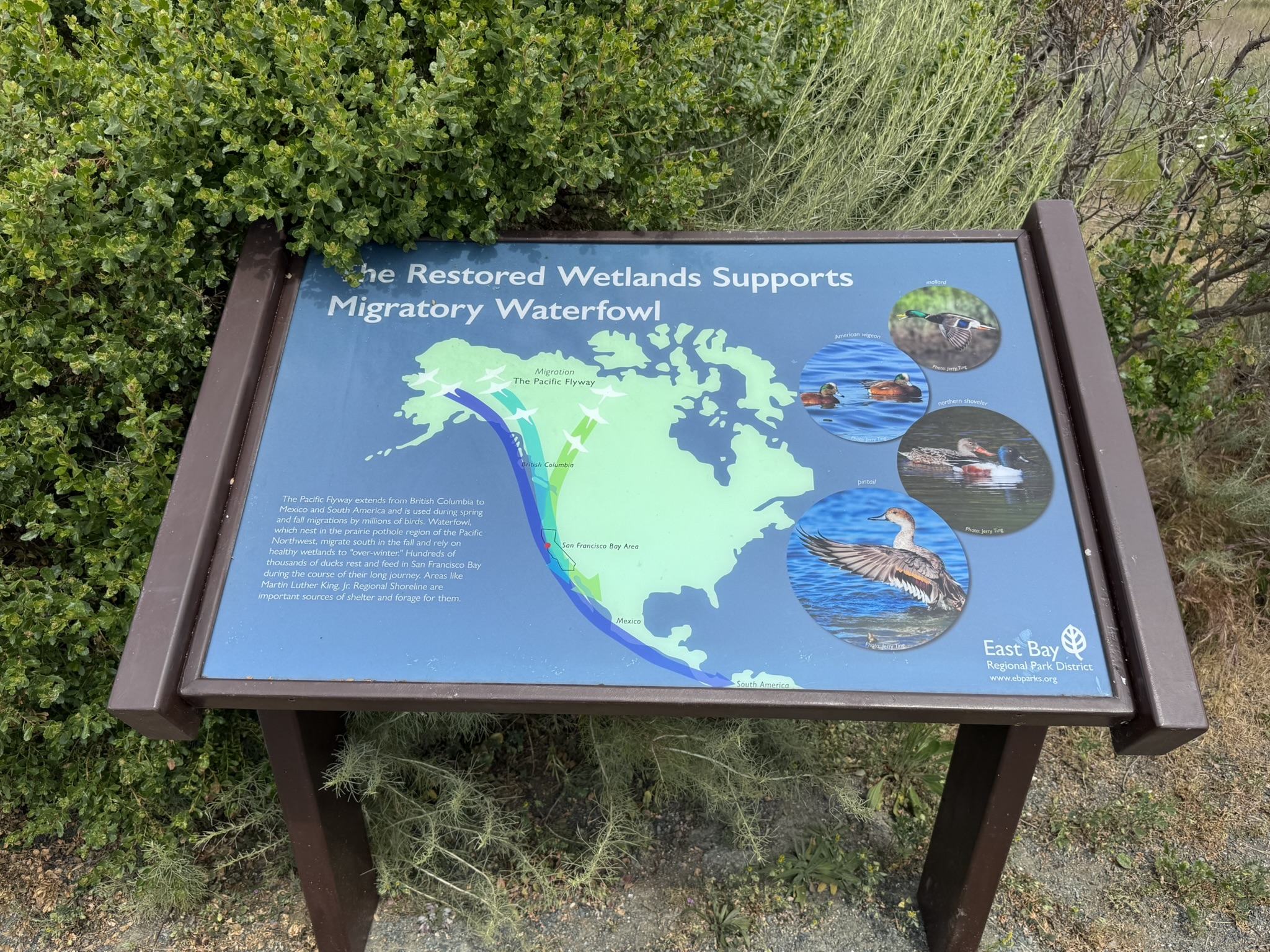 Martin Luther King Jr. Regional Shoreline