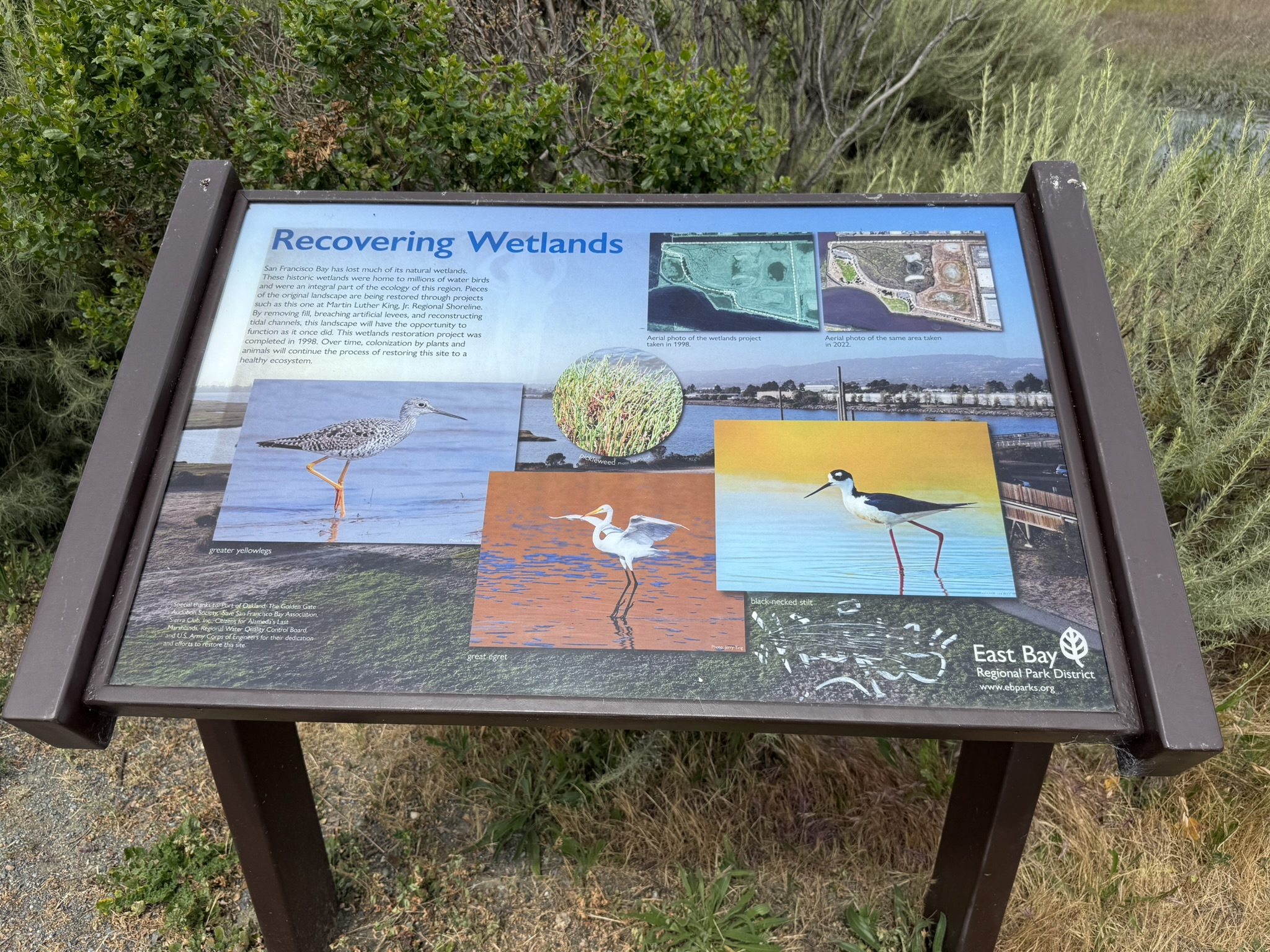 Martin Luther King Jr. Regional Shoreline