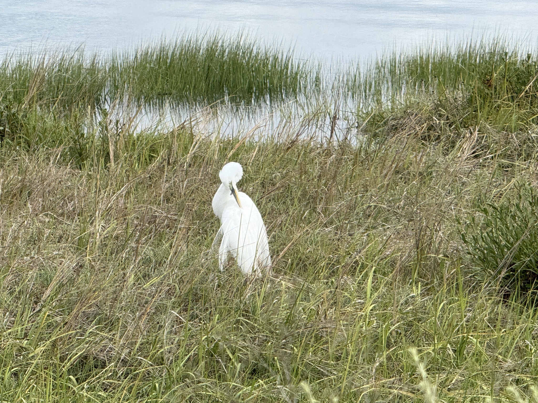 Martin Luther King Jr. Regional Shoreline