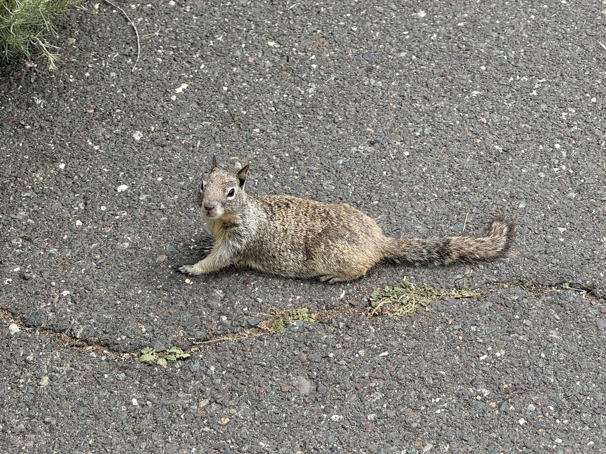 Martin Luther King Jr. Regional Shoreline