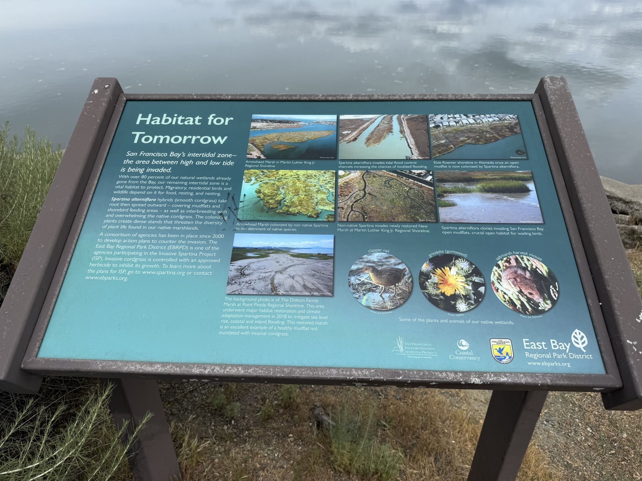 Martin Luther King Jr. Regional Shoreline