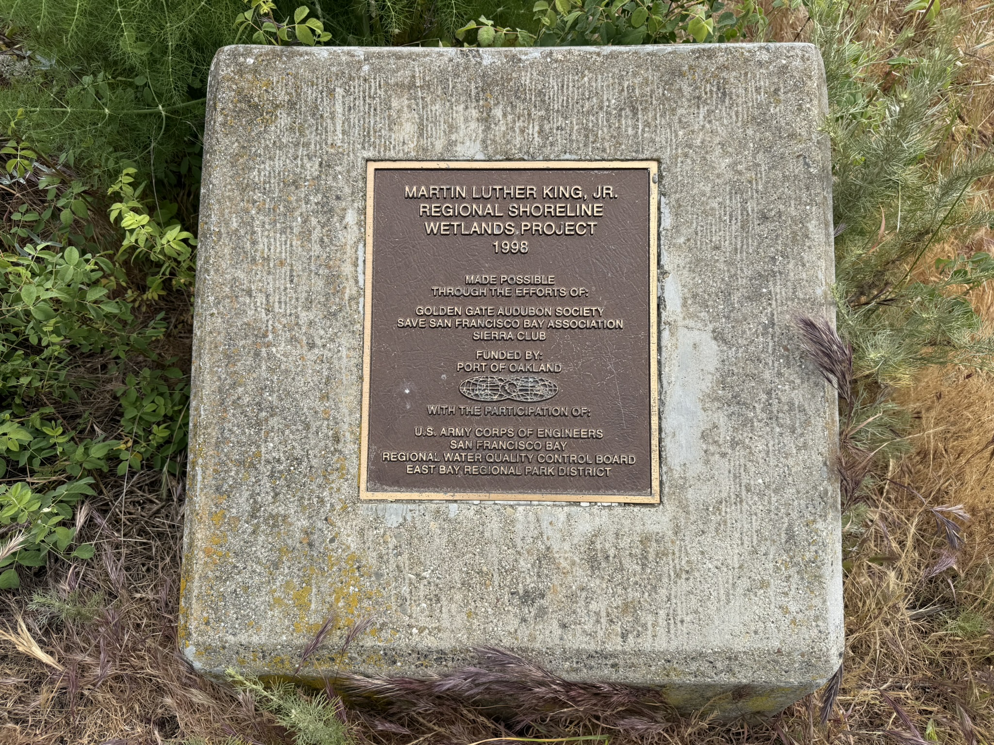 Martin Luther King Jr. Regional Shoreline