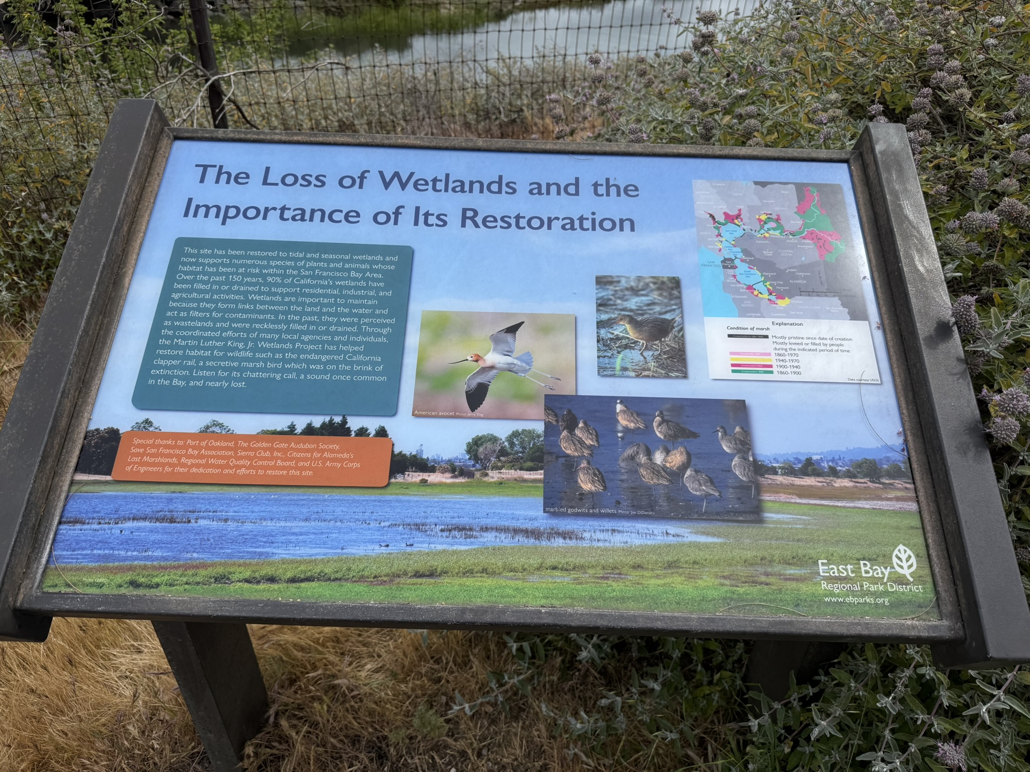 Martin Luther King Jr. Regional Shoreline