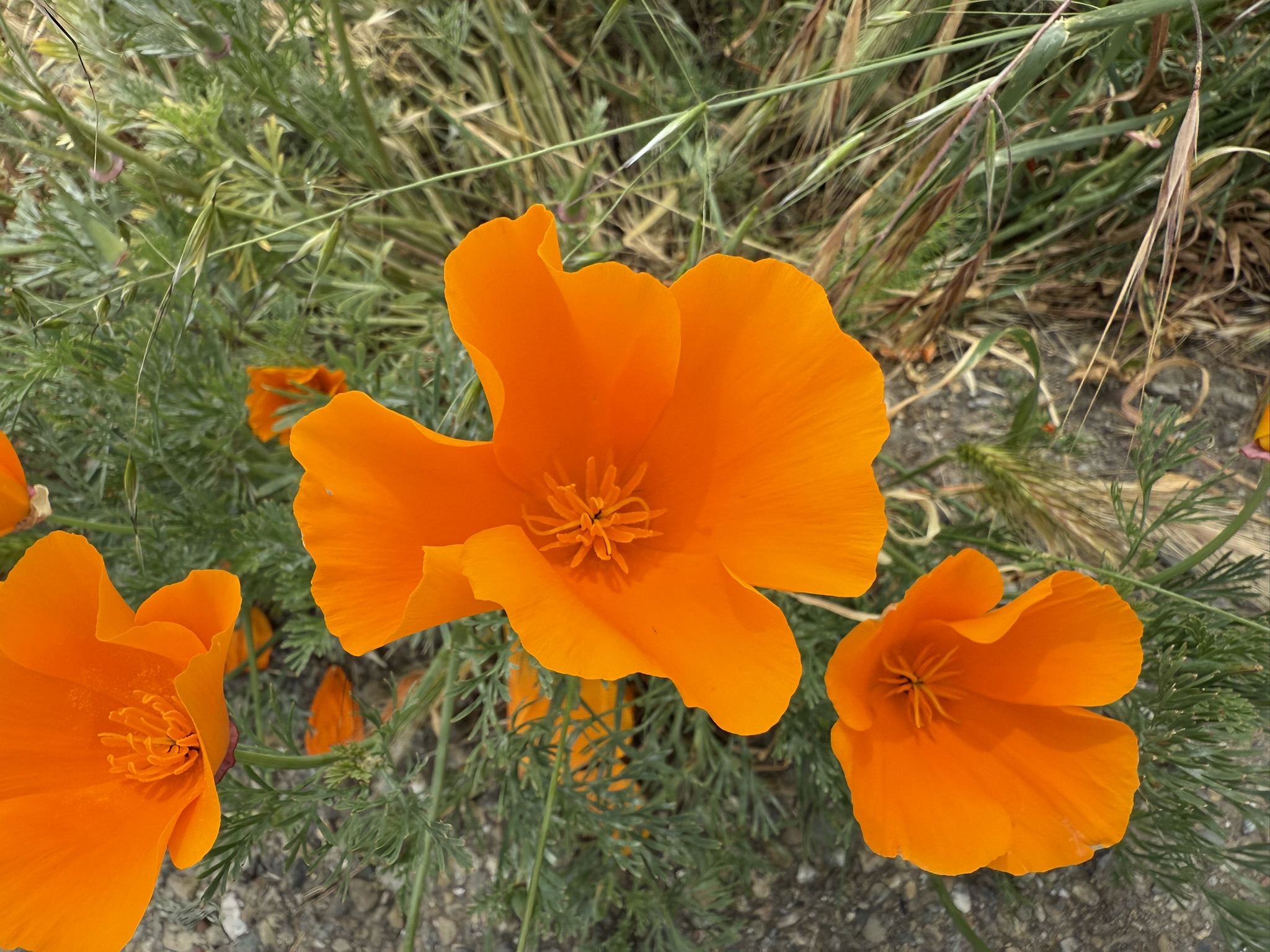 Martin Luther King Jr. Regional Shoreline