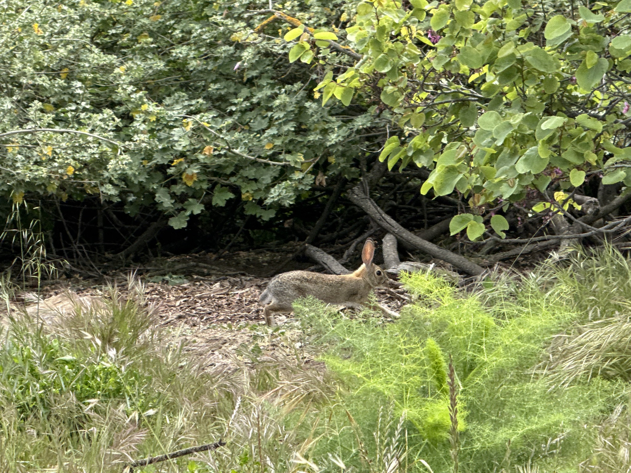 Martin Luther King Jr. Regional Shoreline