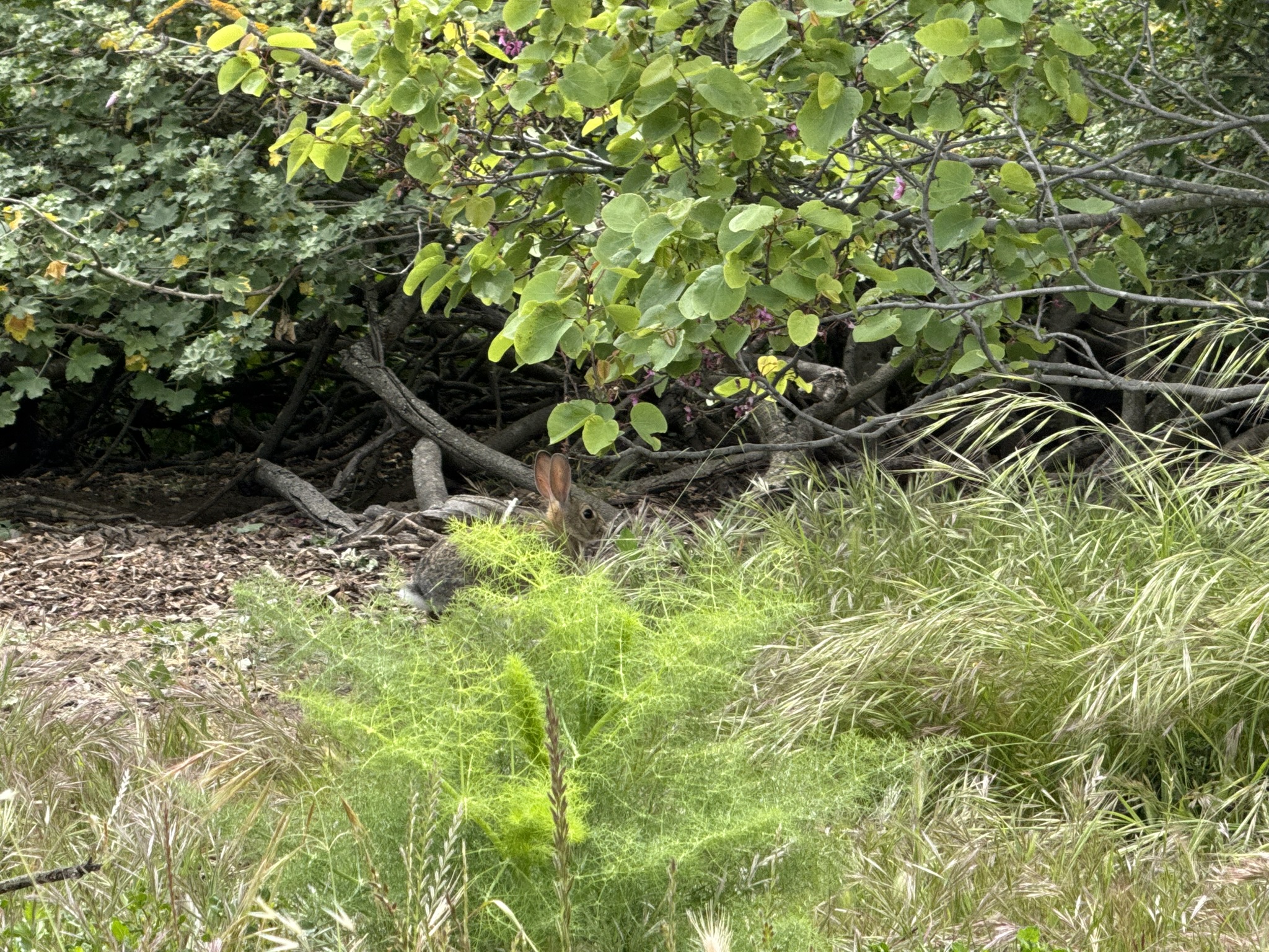 Martin Luther King Jr. Regional Shoreline