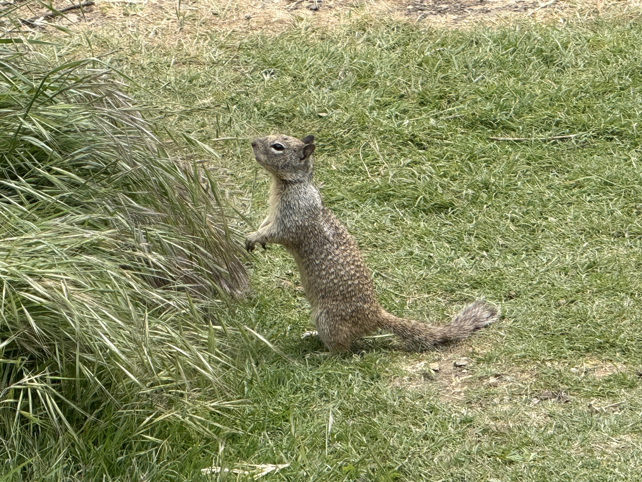 Martin Luther King Jr. Regional Shoreline