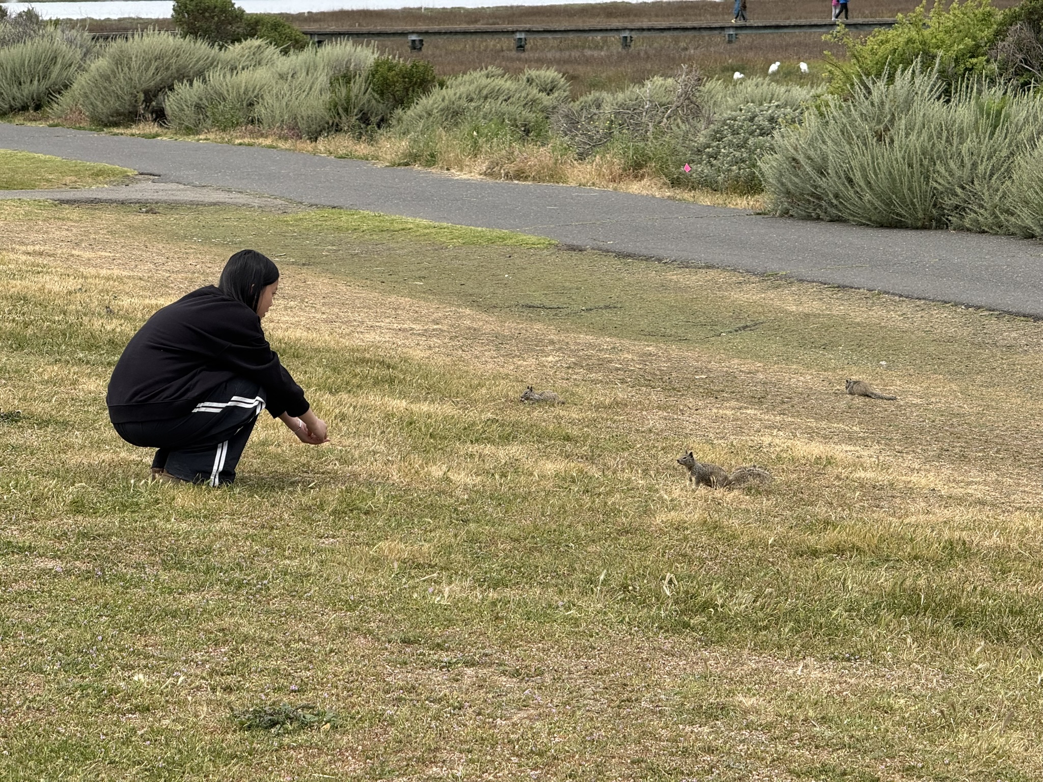 Martin Luther King Jr. Regional Shoreline