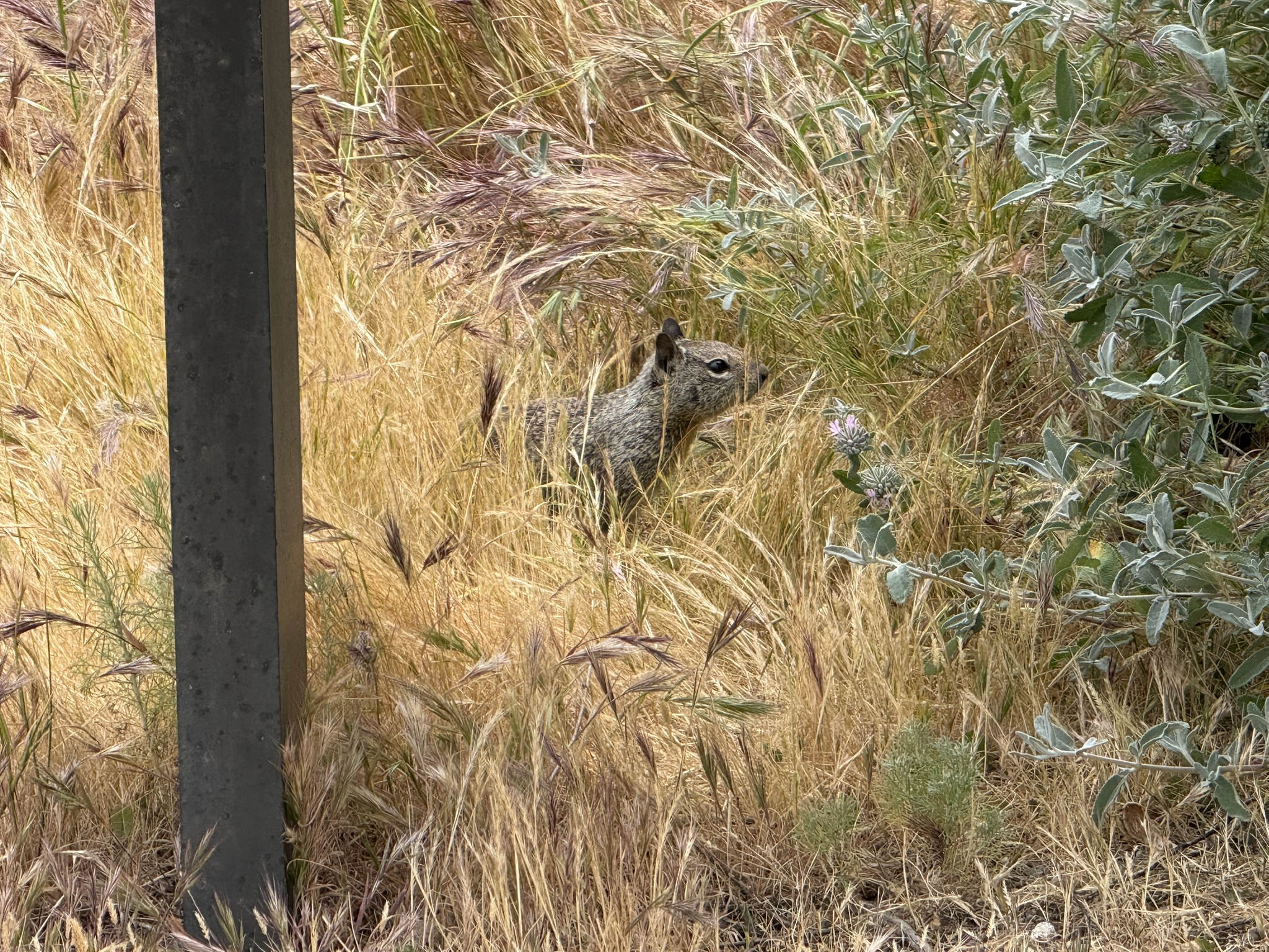 Martin Luther King Jr. Regional Shoreline