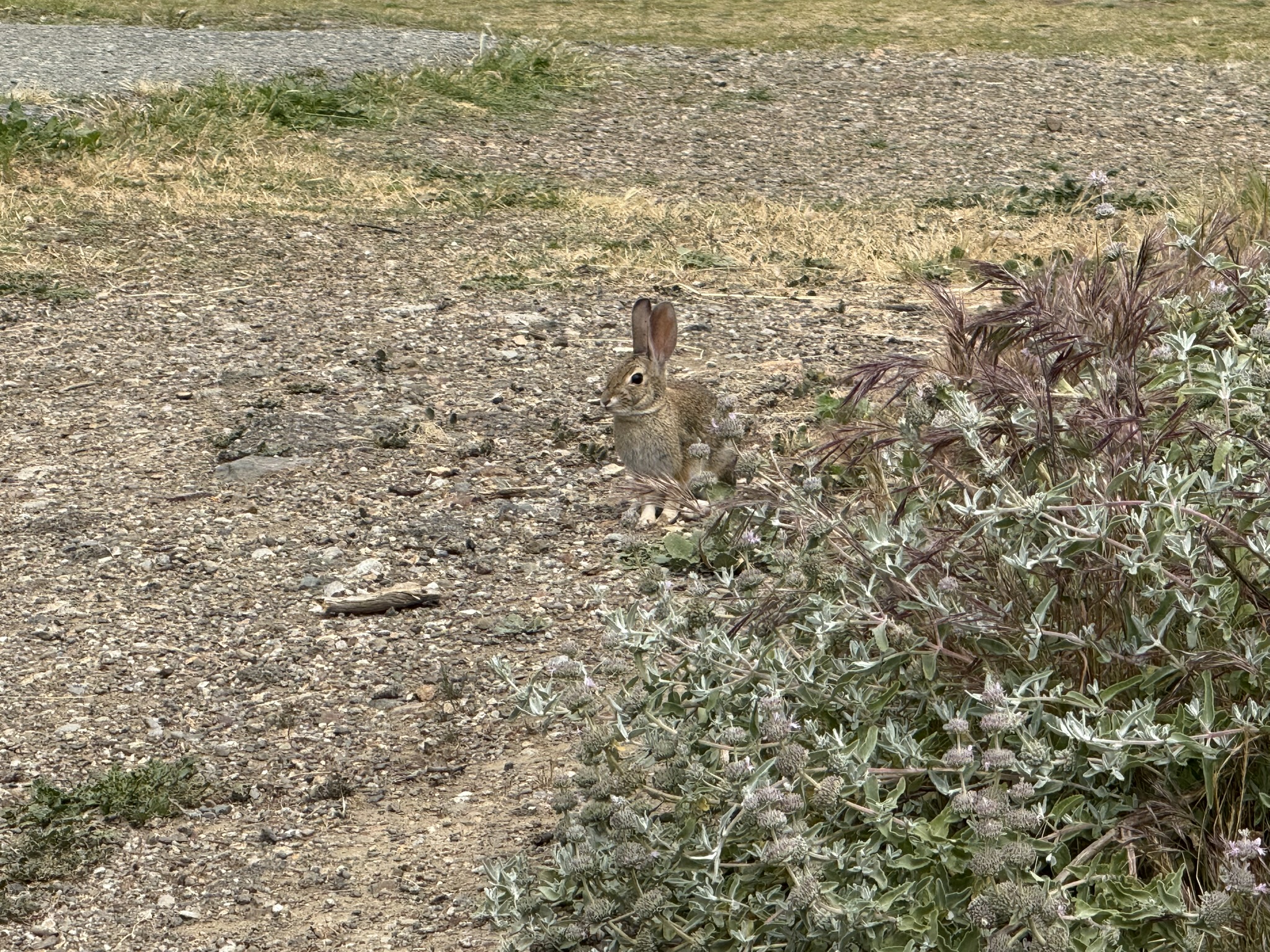 Martin Luther King Jr. Regional Shoreline