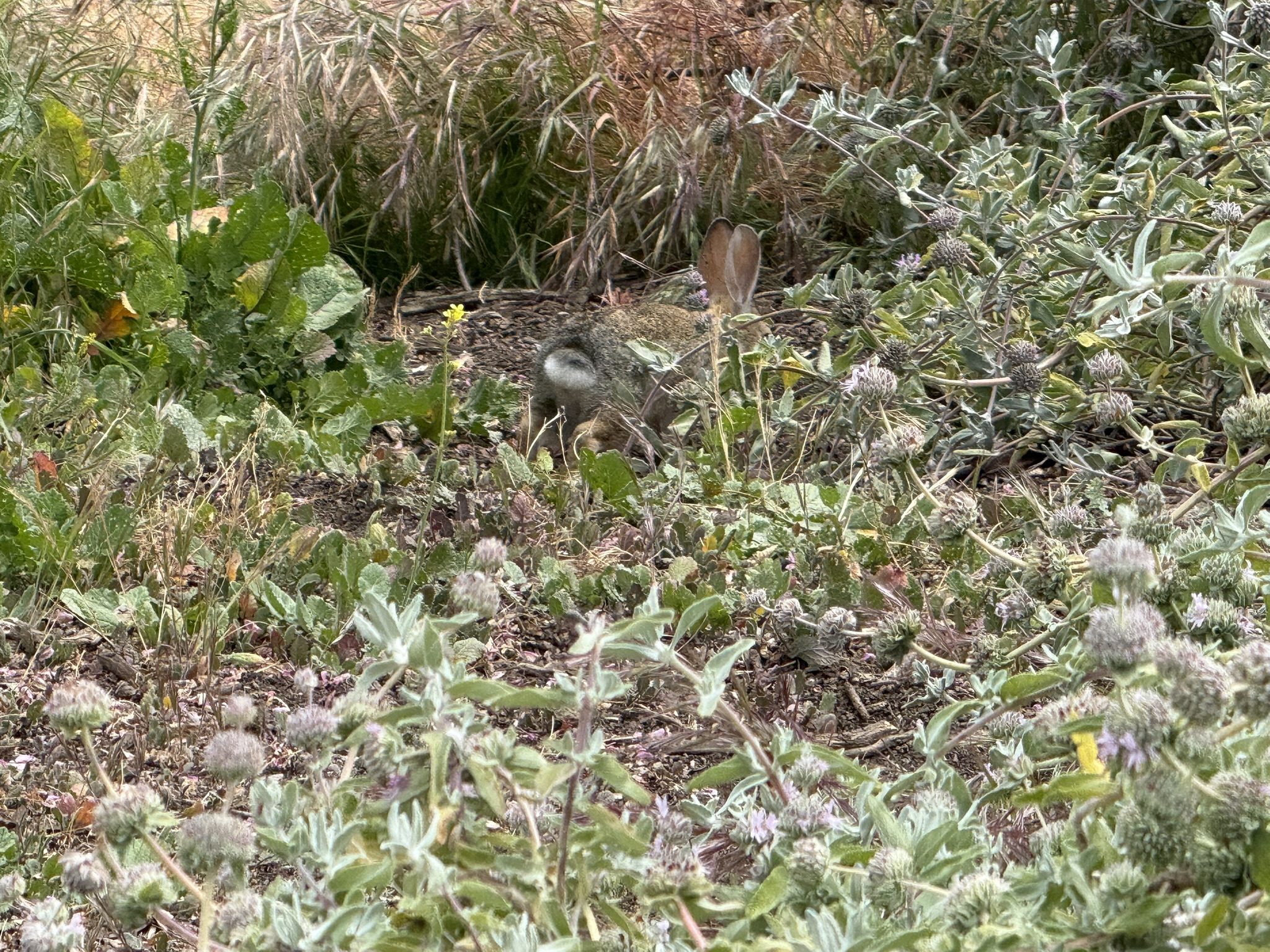 Martin Luther King Jr. Regional Shoreline