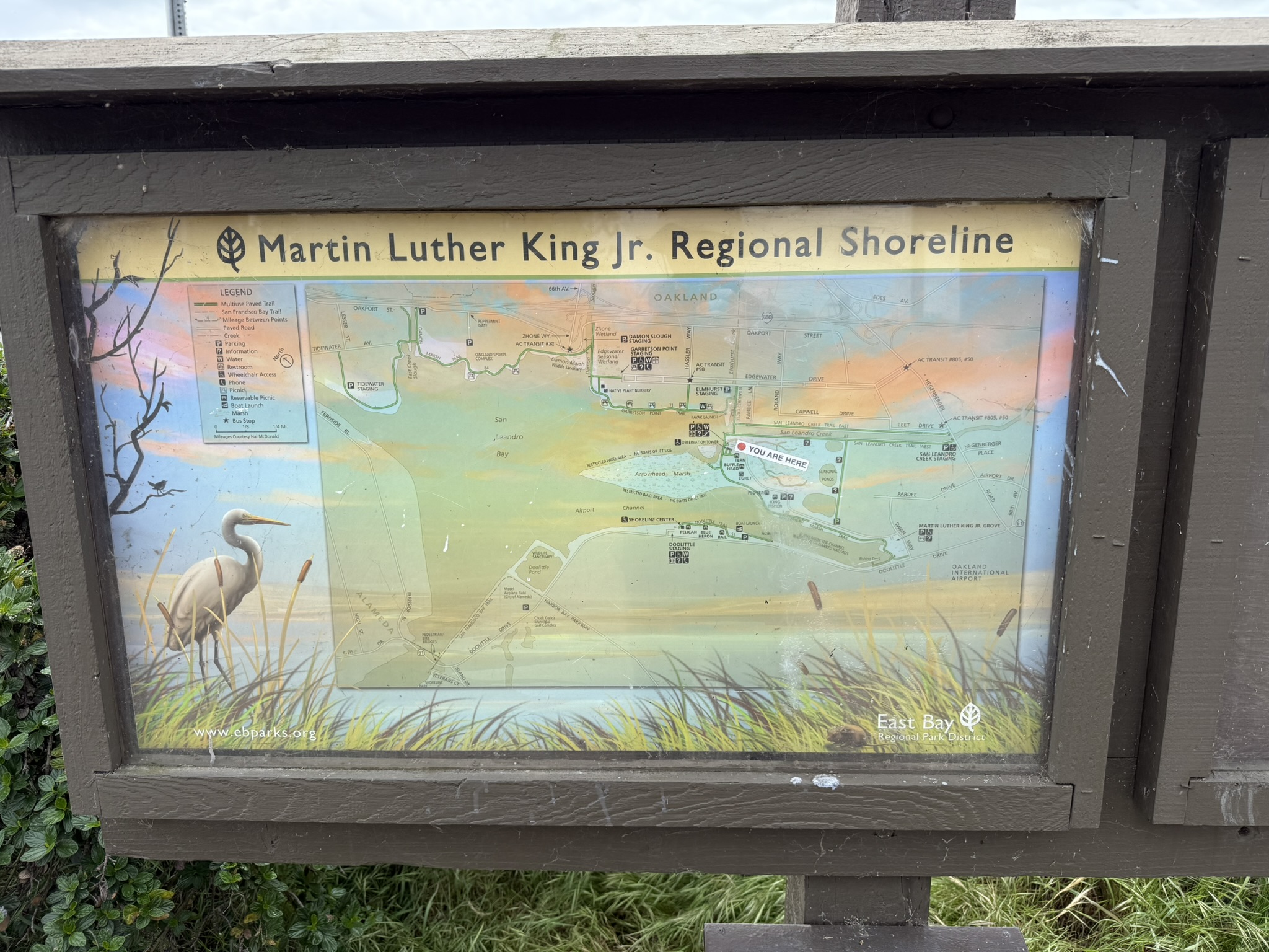 Martin Luther King Jr. Regional Shoreline