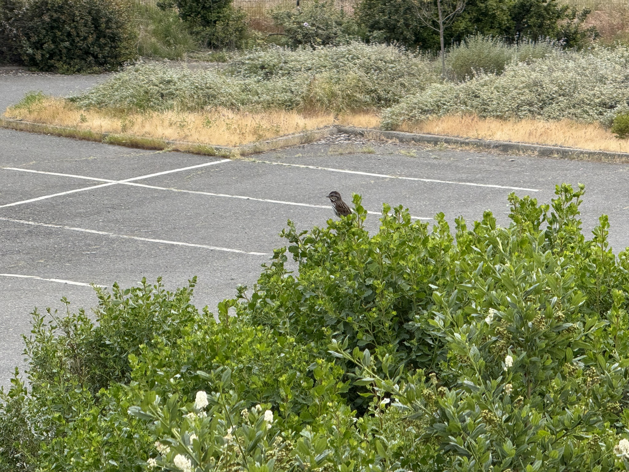 Martin Luther King Jr. Regional Shoreline