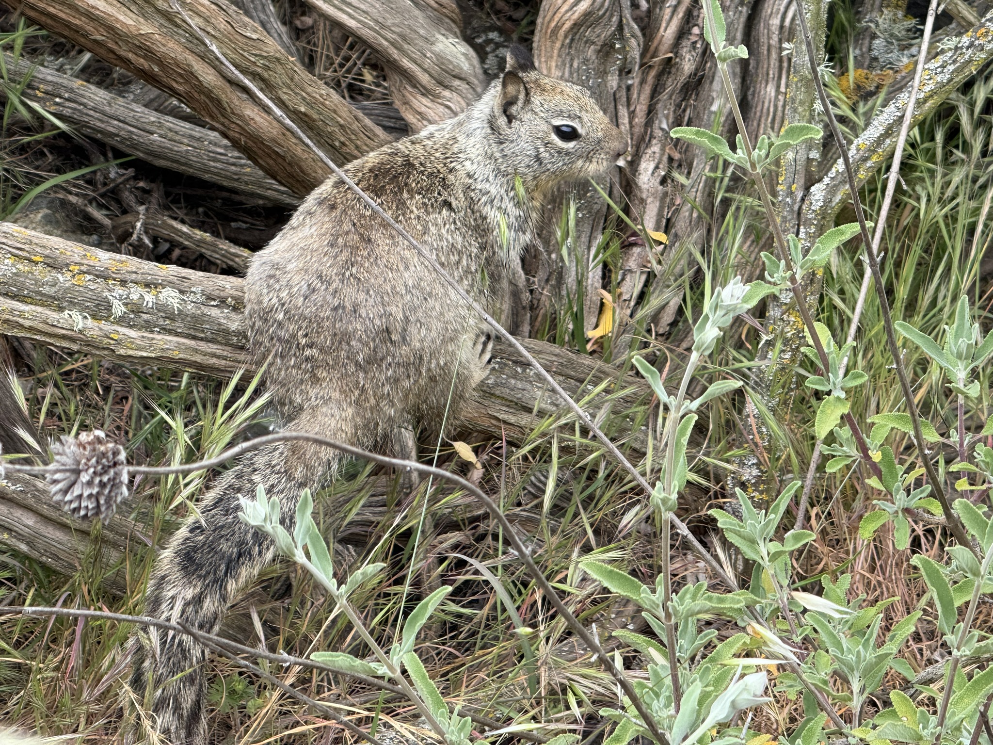 Martin Luther King Jr. Regional Shoreline