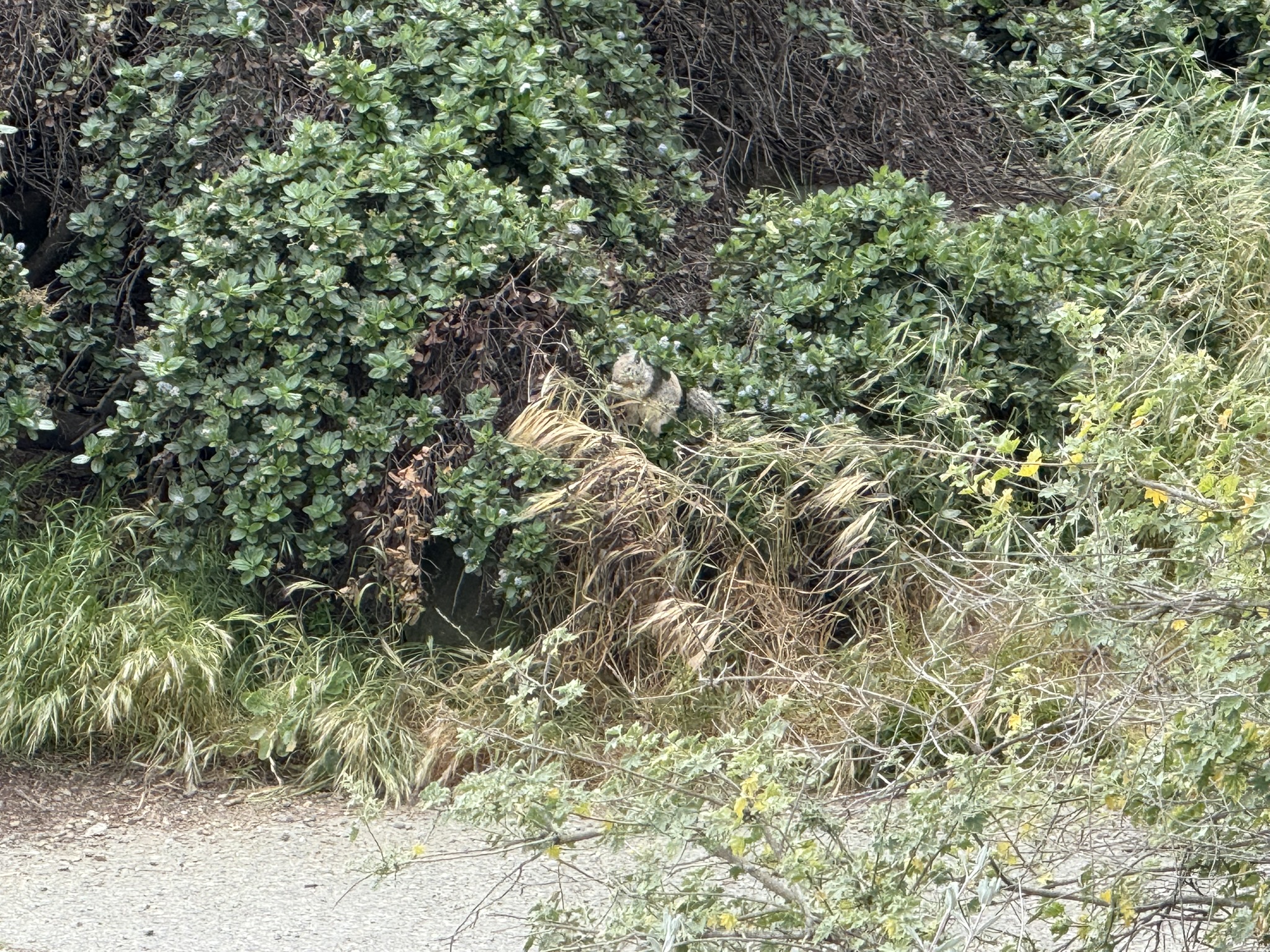 Martin Luther King Jr. Regional Shoreline