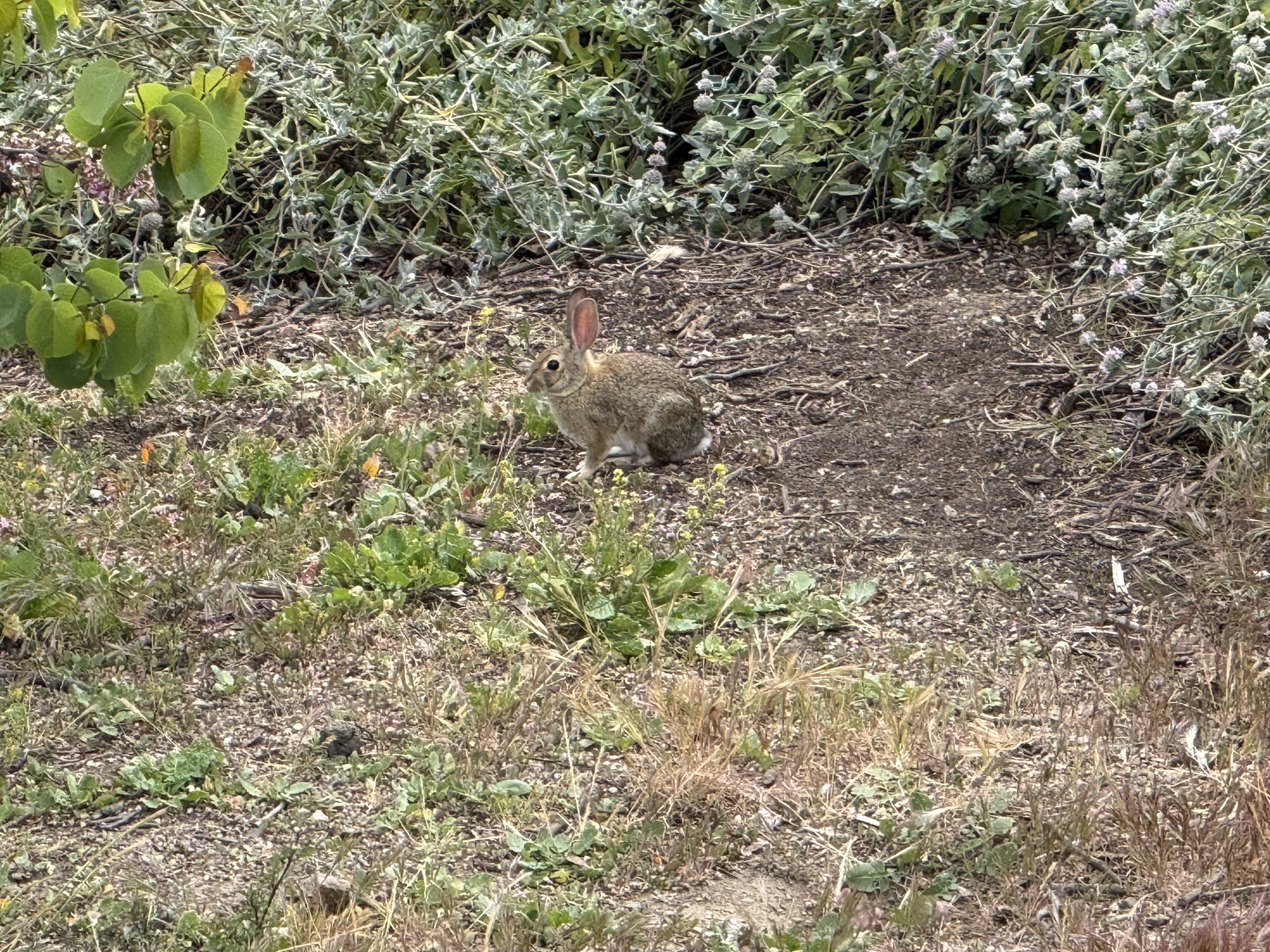 Martin Luther King Jr. Regional Shoreline