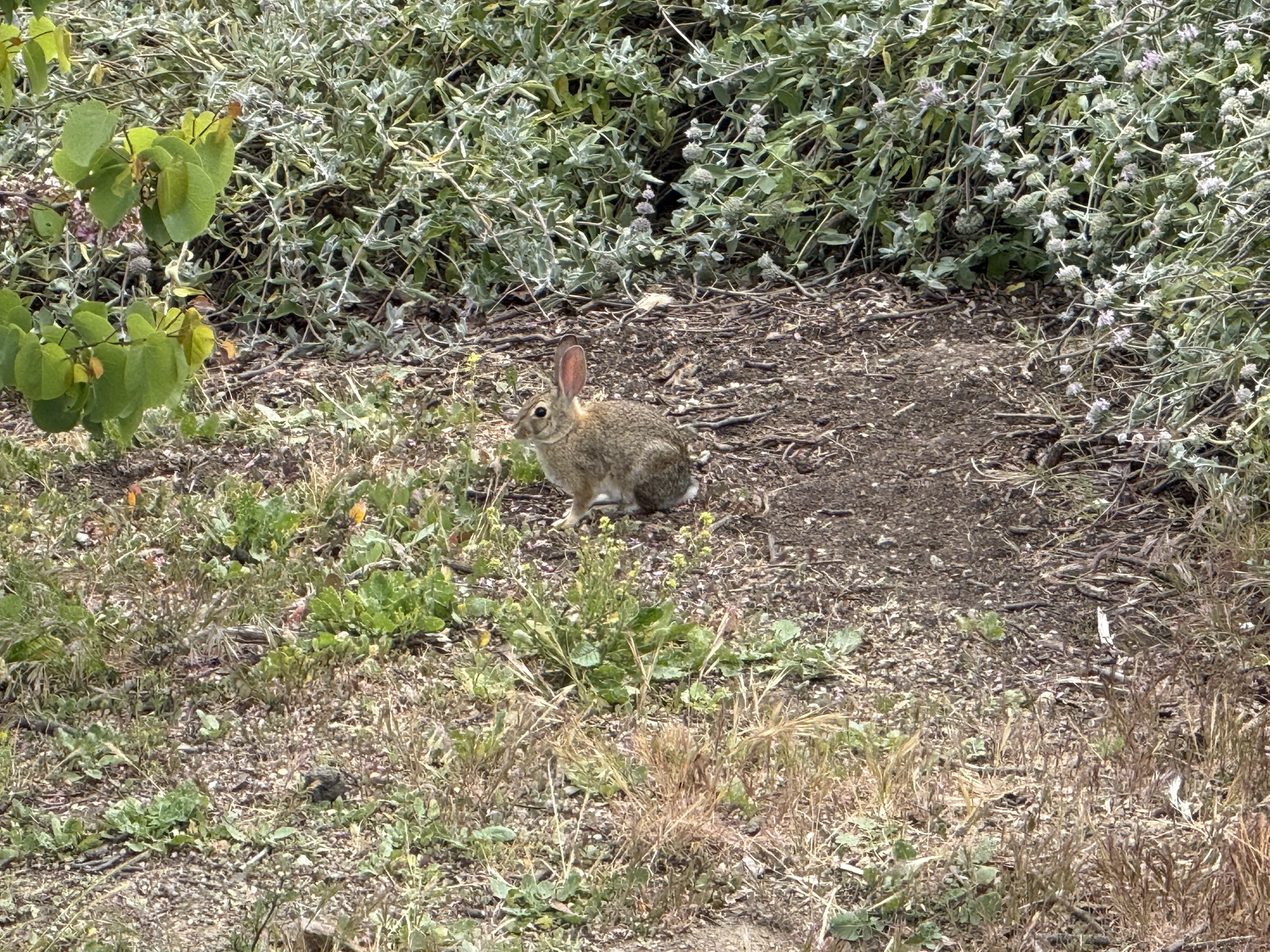 Martin Luther King Jr. Regional Shoreline