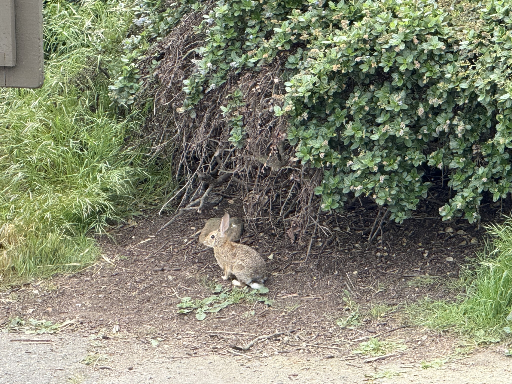 Martin Luther King Jr. Regional Shoreline