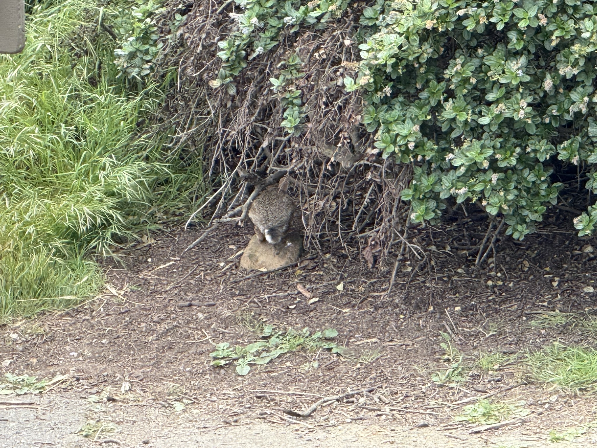Martin Luther King Jr. Regional Shoreline