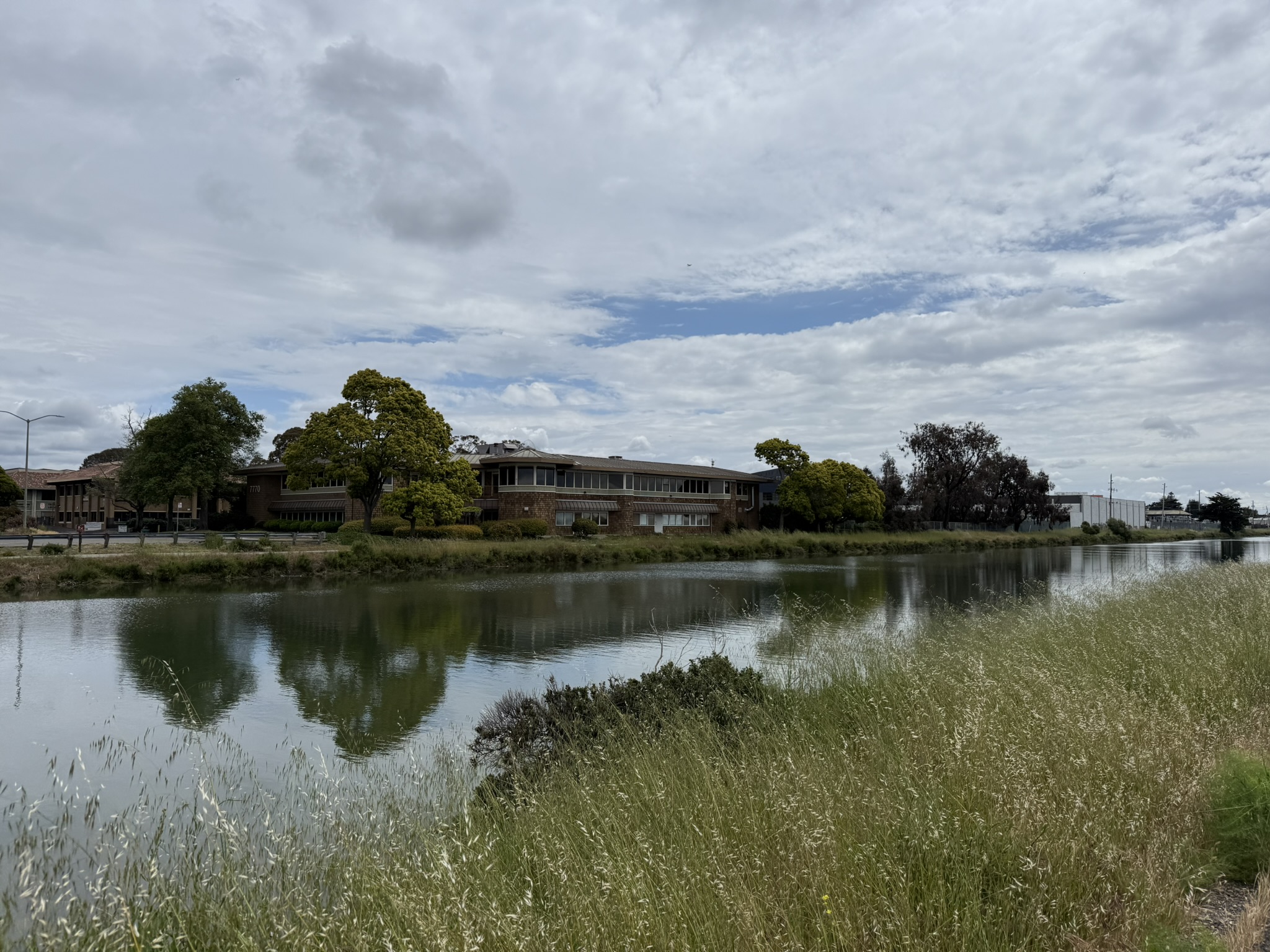 Martin Luther King Jr. Regional Shoreline