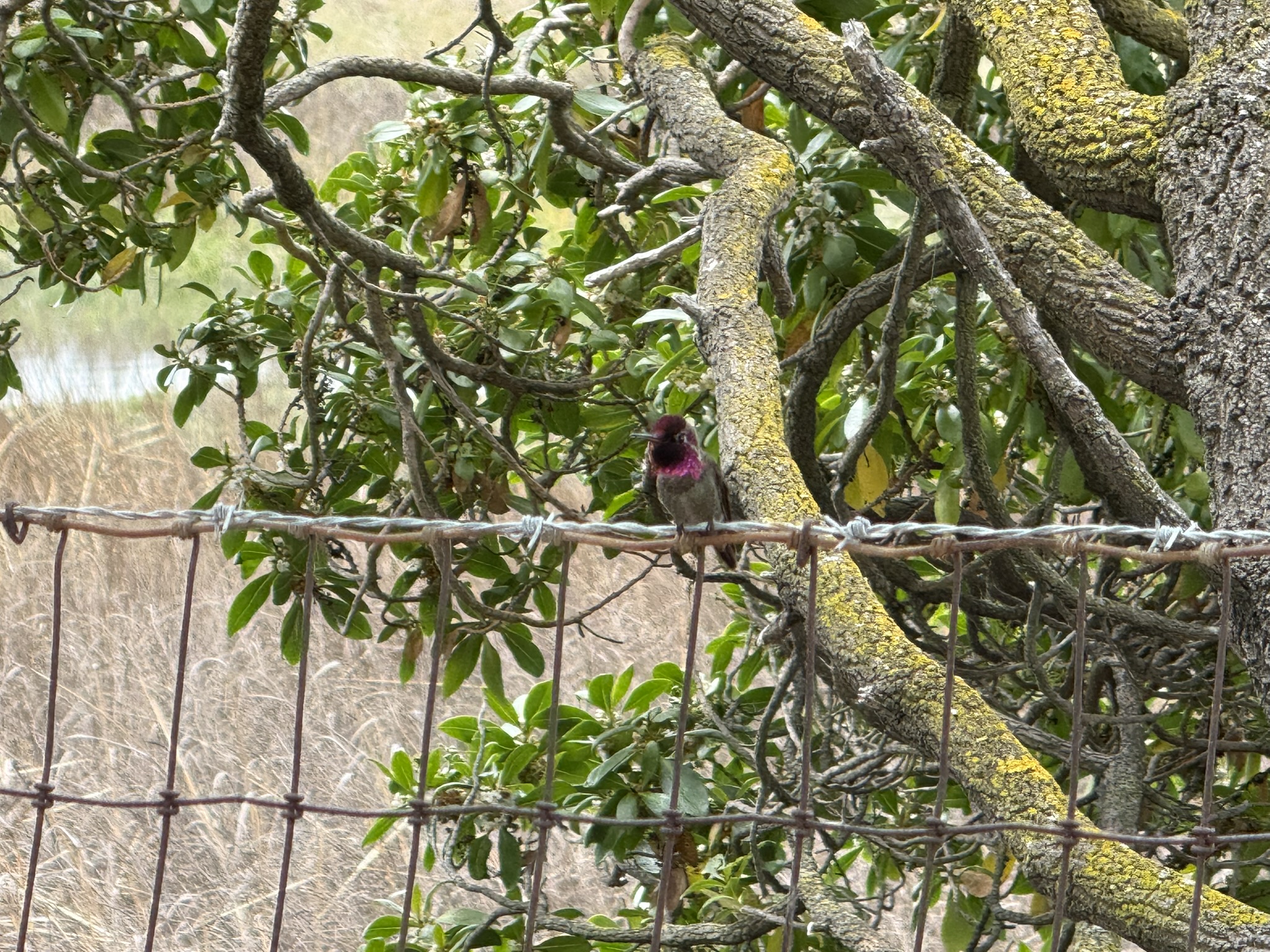 Martin Luther King Jr. Regional Shoreline