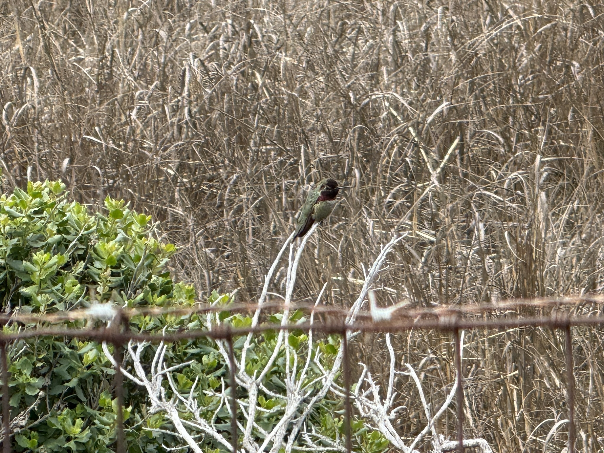 Martin Luther King Jr. Regional Shoreline